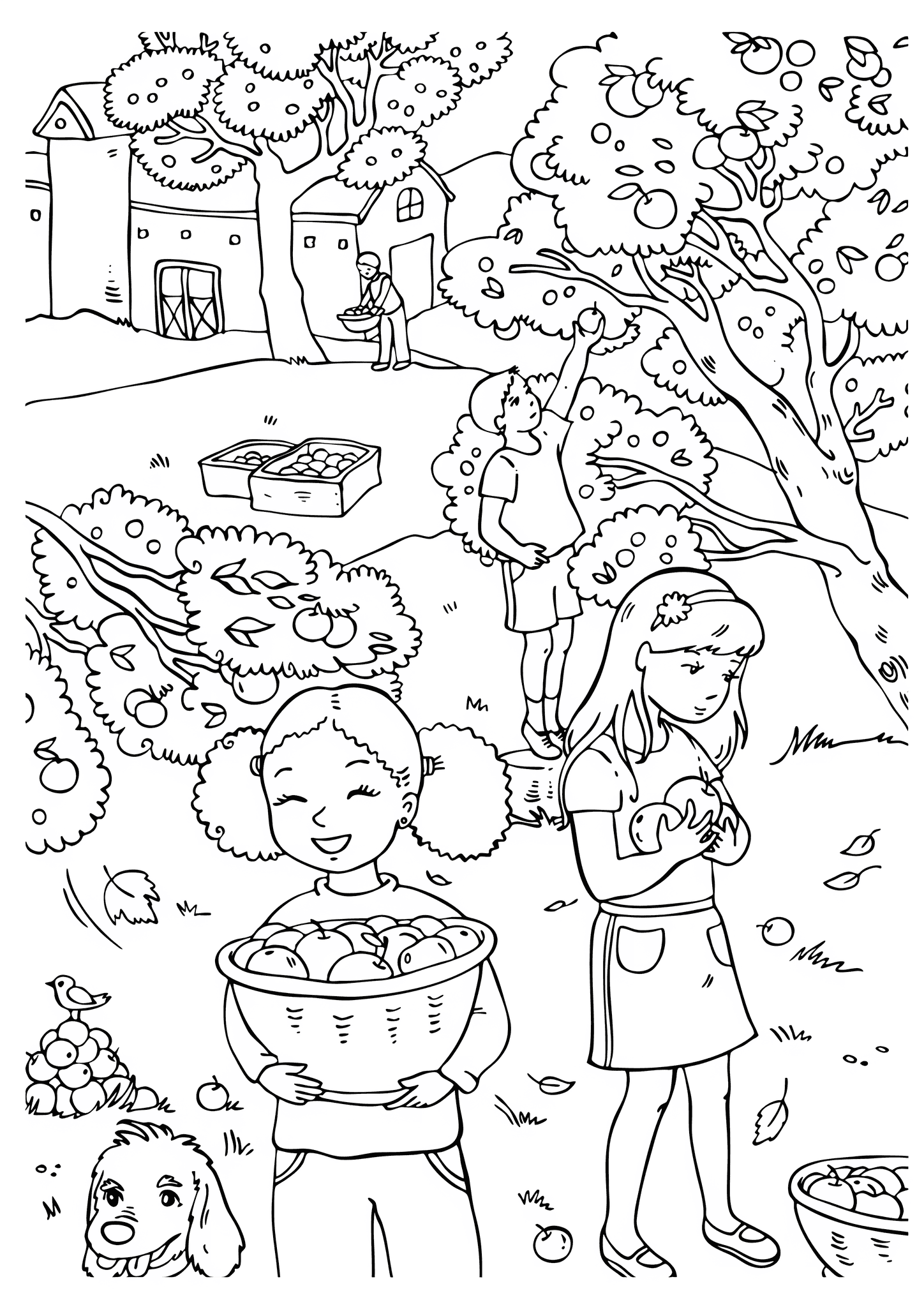 Autumn: Gathering Apples in the Orchard