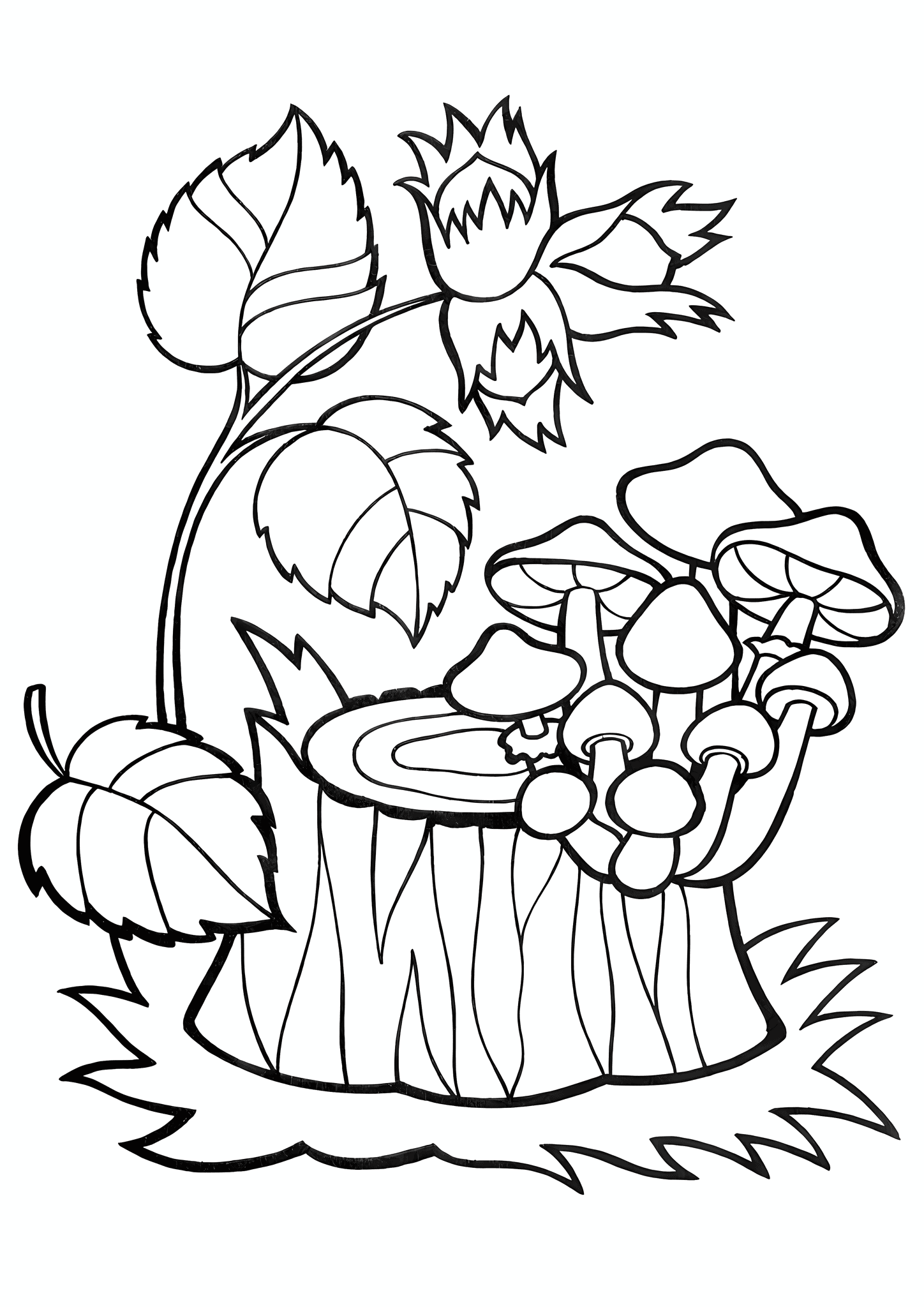 Autumn: Still Life of the Forest