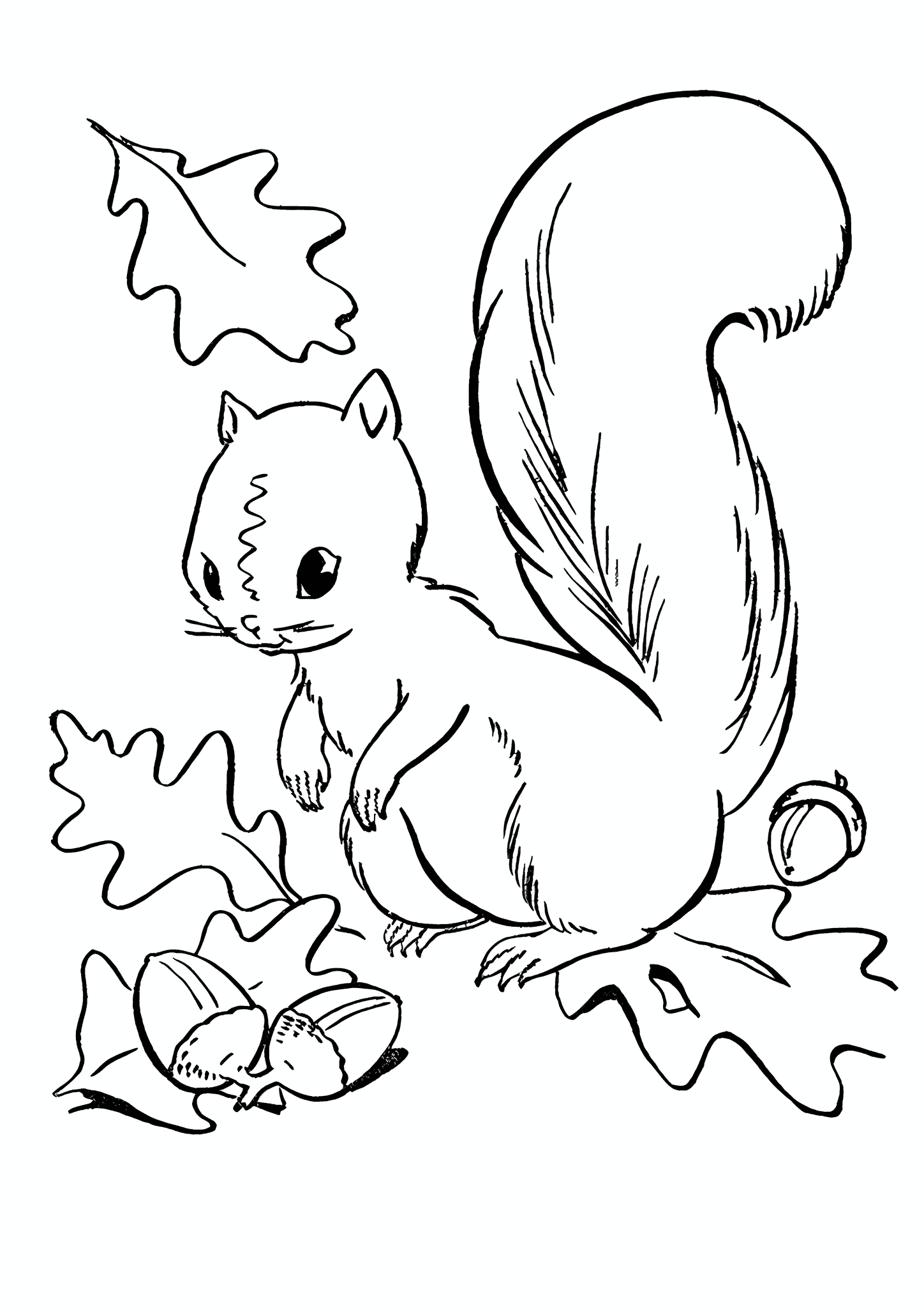 Autumn: Squirrel