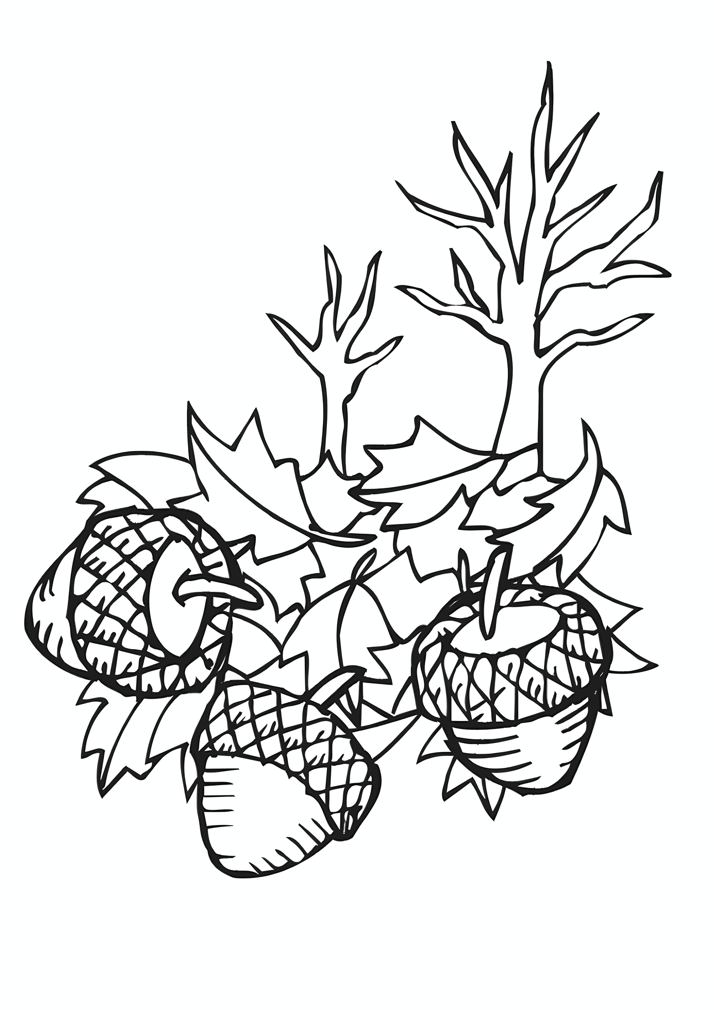 Autumn: Acorns in the Foliage