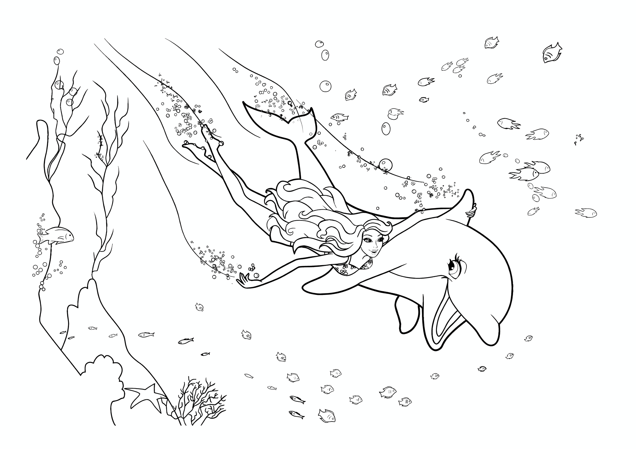 Barbie: Toward Adventure