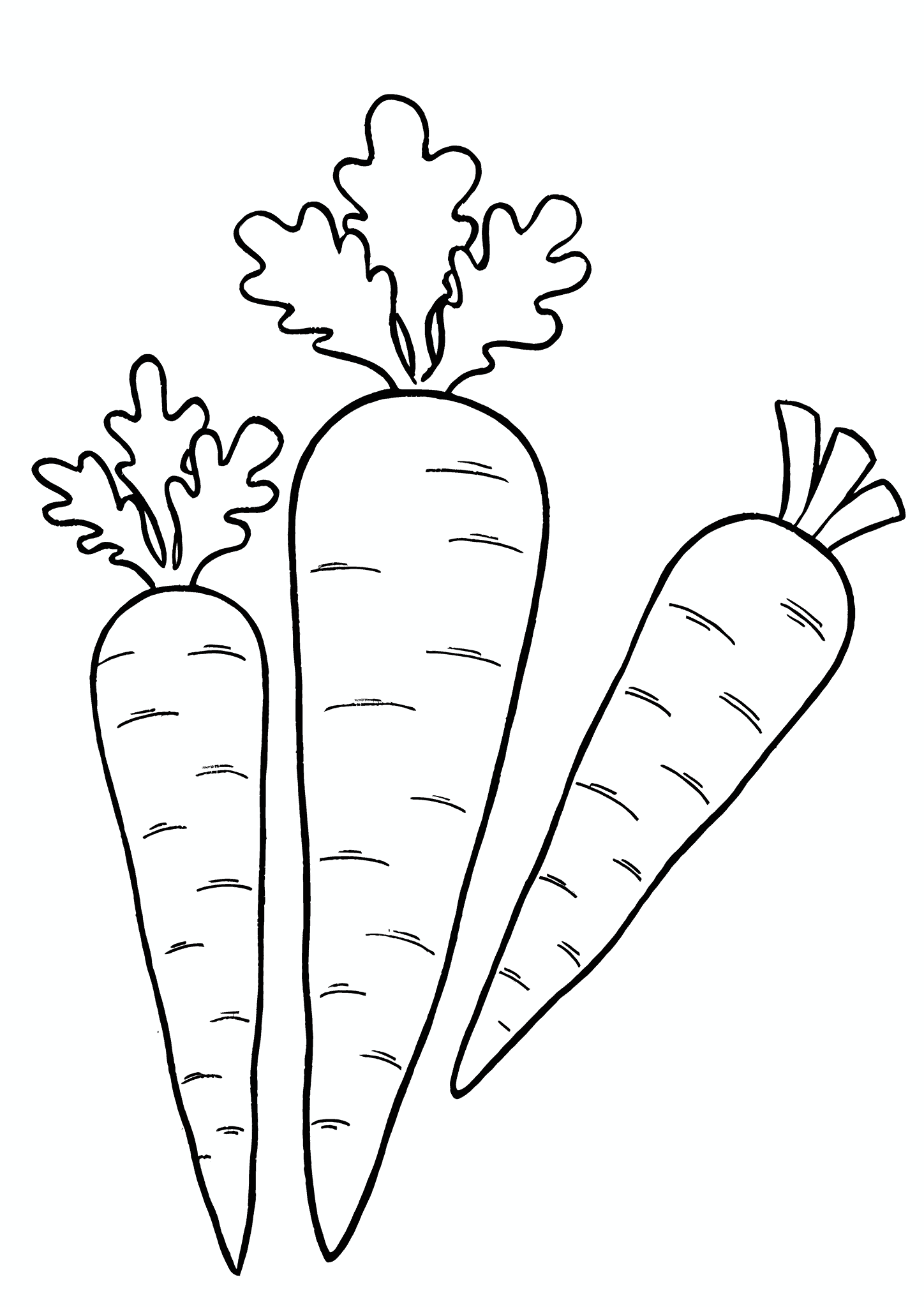 Carrots: Vegetables for Soup