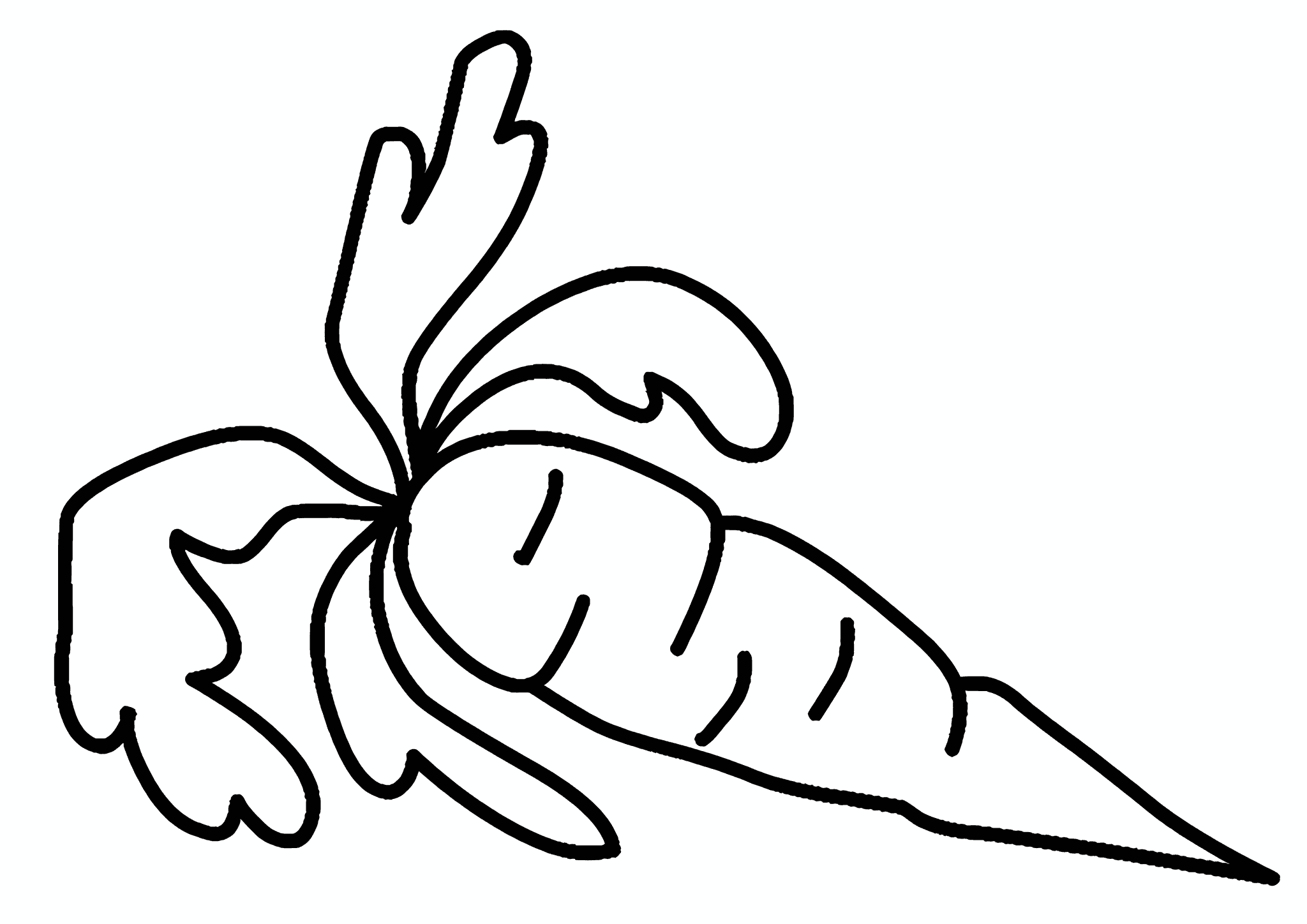 Simple Carrot