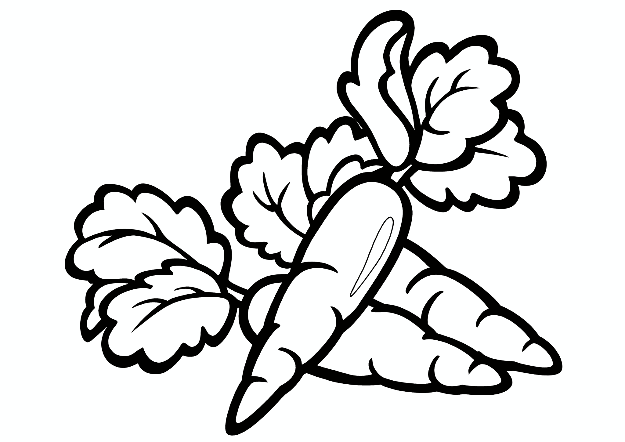 Carrots: Tidy Root Vegetables