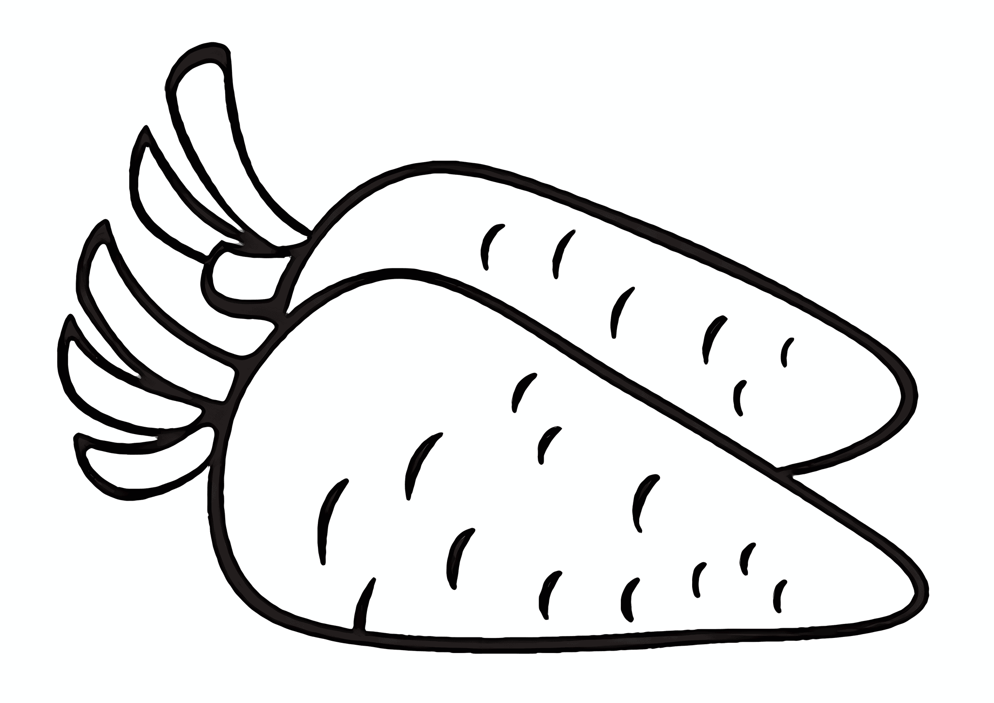 Carrots: Two Root Vegetables