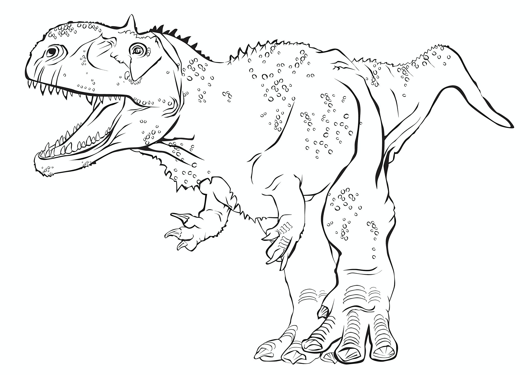 Rajasaurus (princely Lizard) Dinosaur