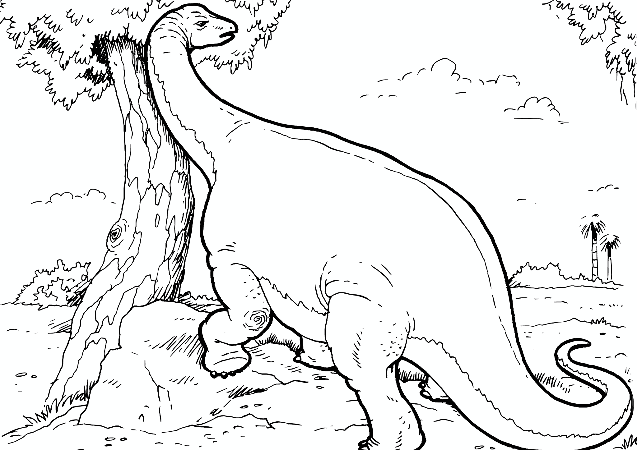 Saltasaurus Dinosaur