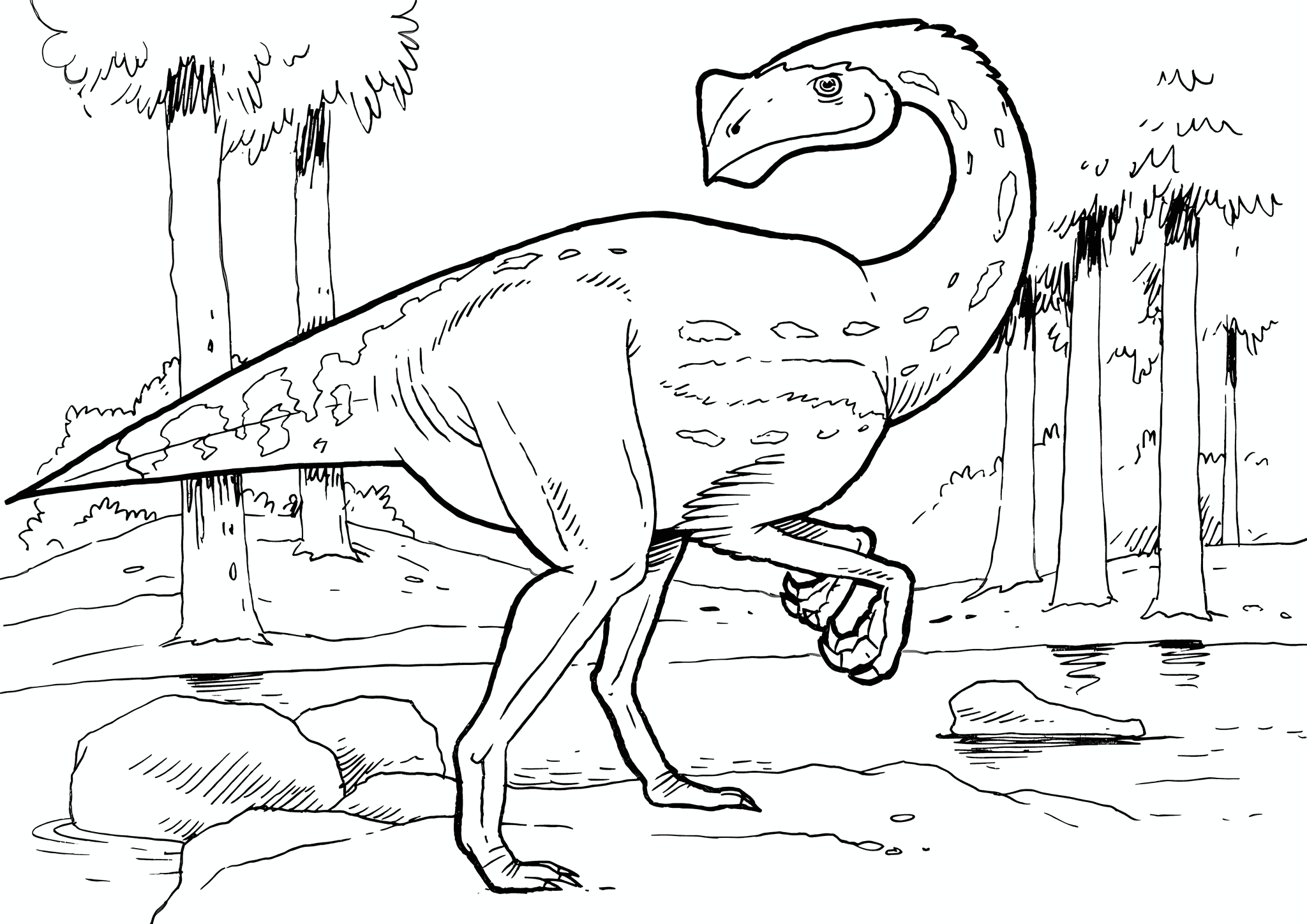 Kirostenot Pergrasilis Dinosaur
