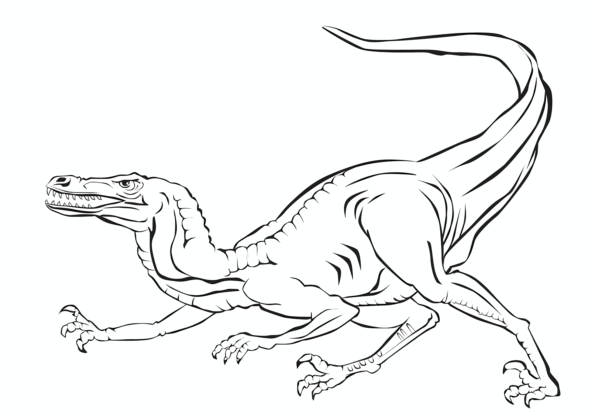 Aggressive Velociraptor Dinosaur