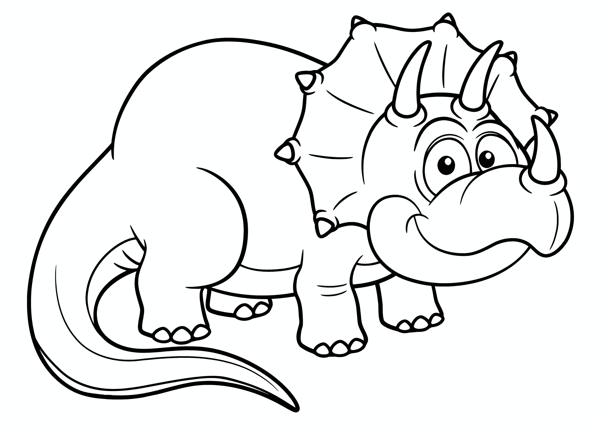 Baby Triceratops Dinosaur