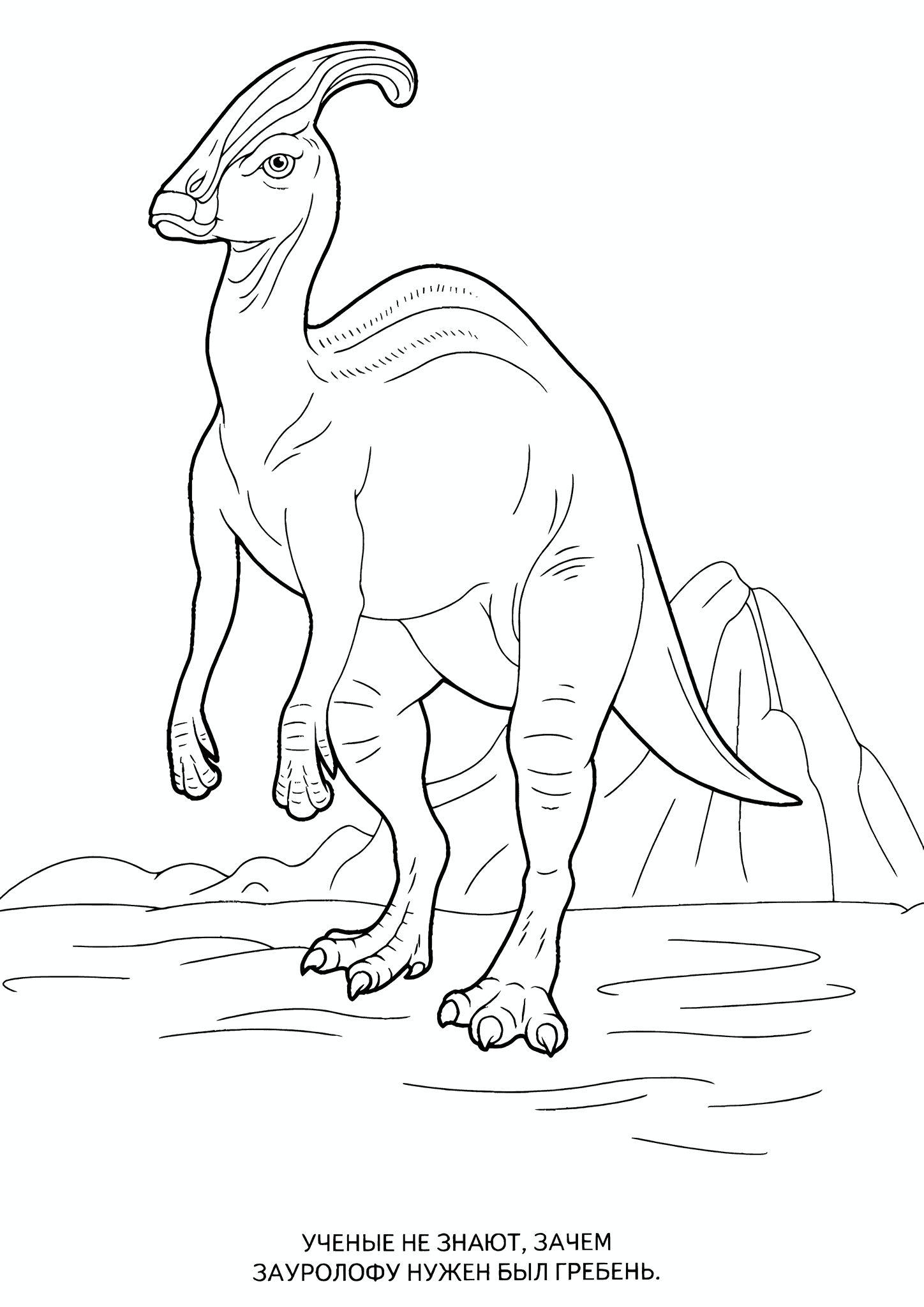 Saurolophus Dinosaur