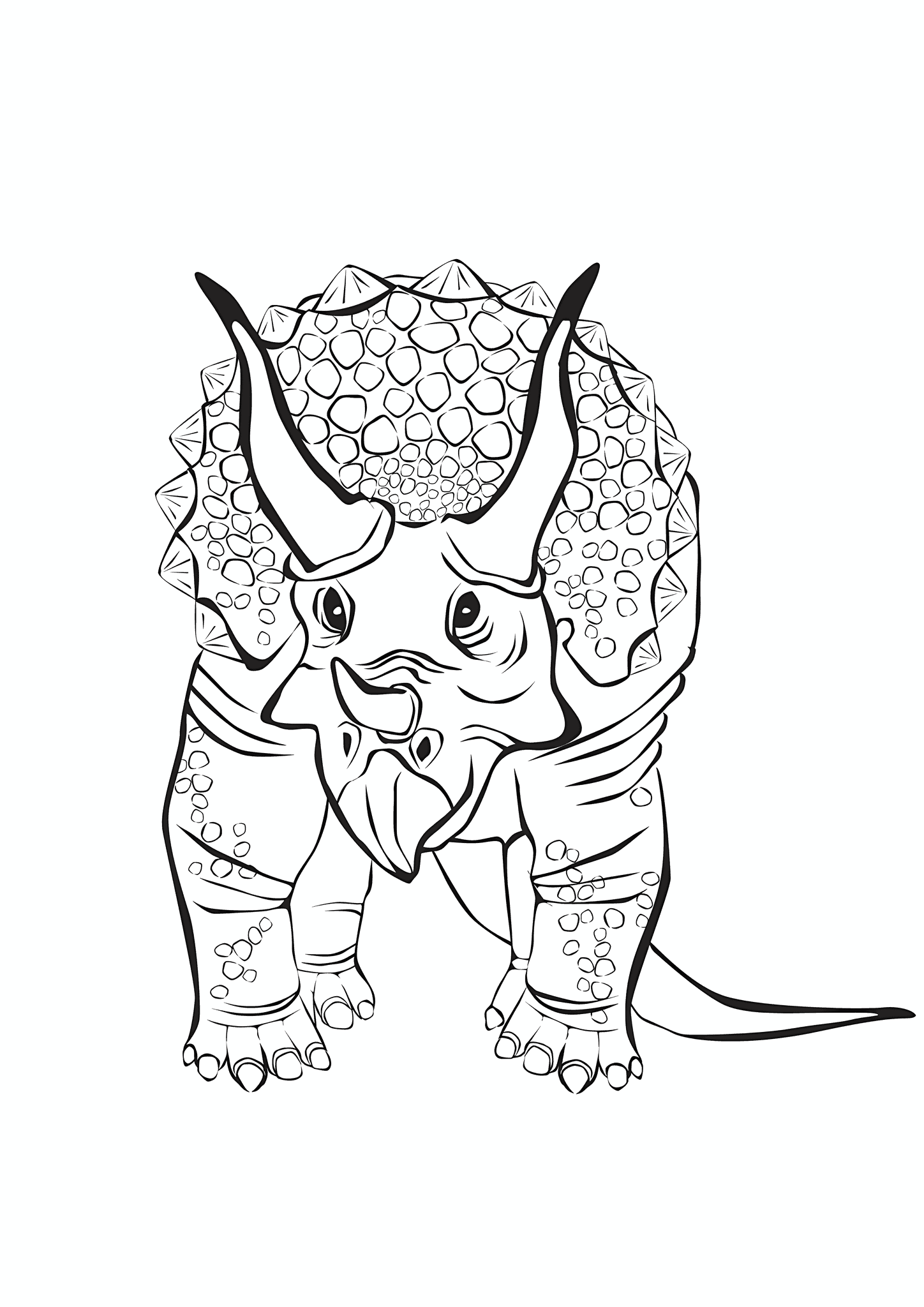 Triceratops Dinosaur