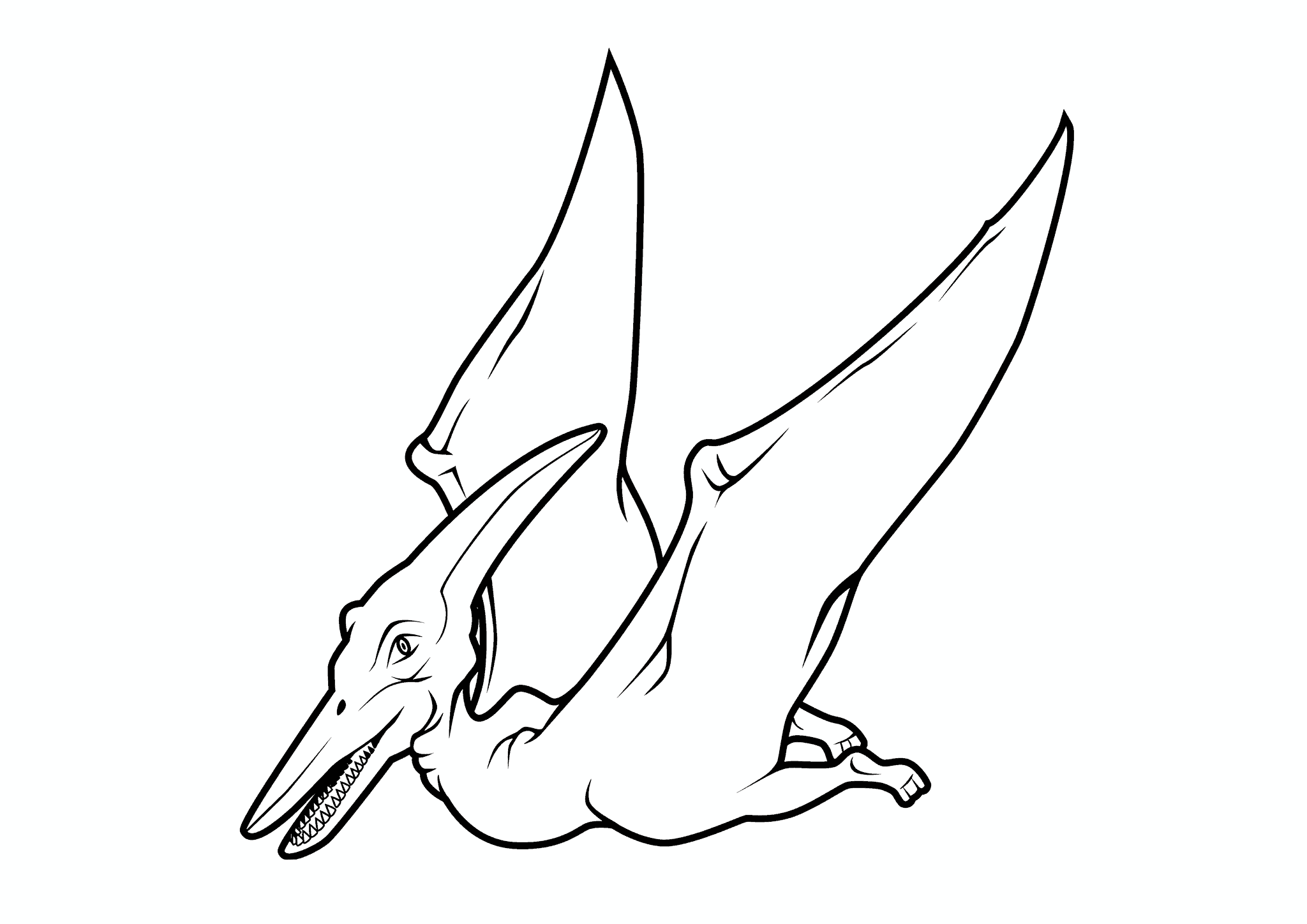 Flying Pteranodon Dinosaur