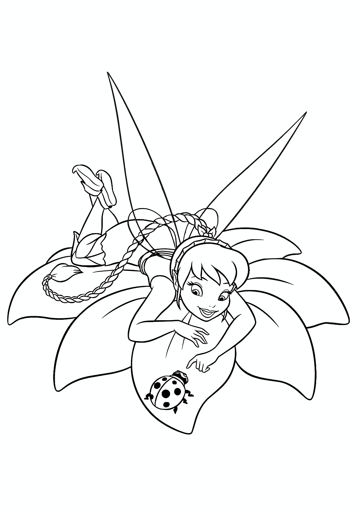 Disney Fairies: Fauna and Ladybug