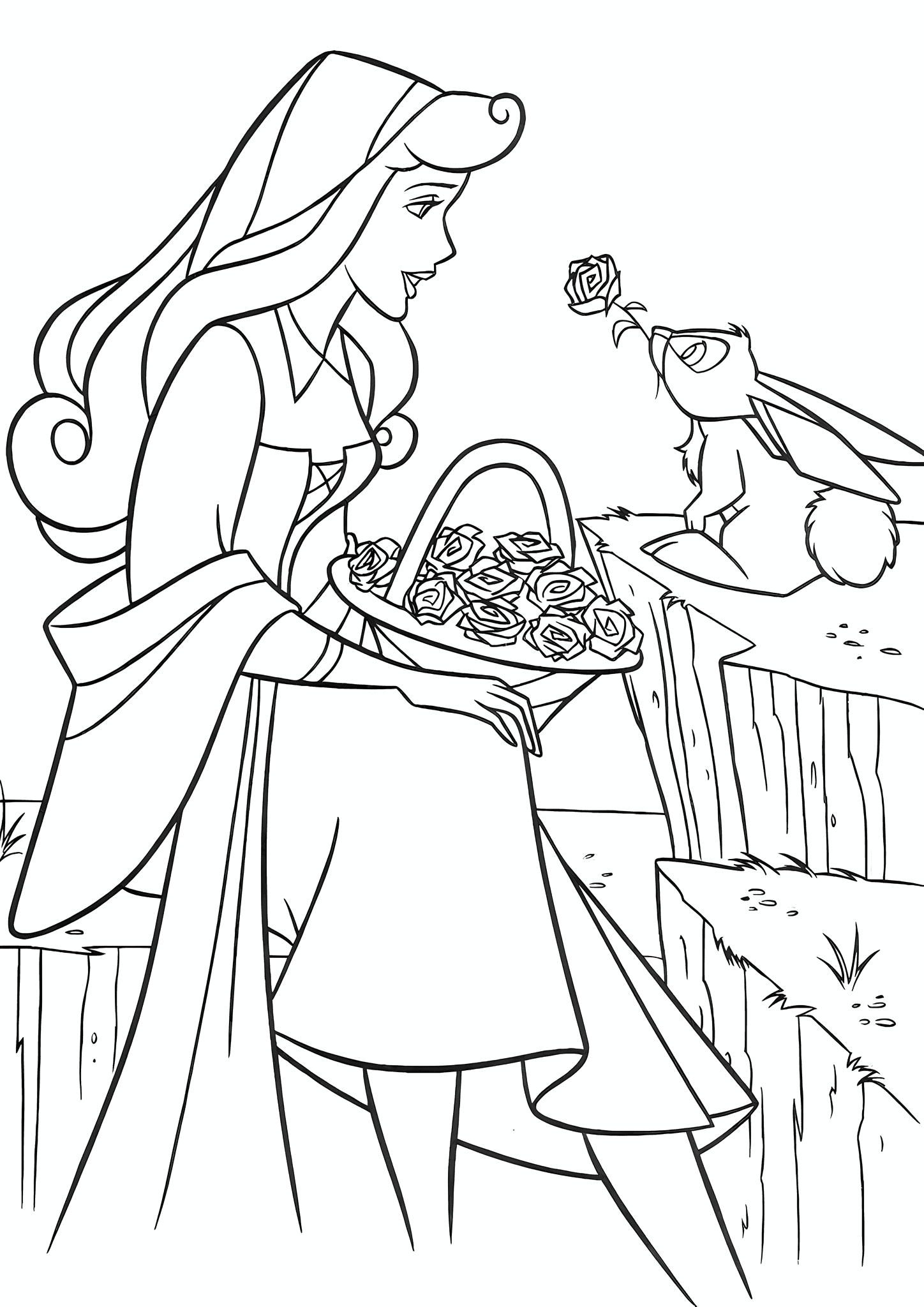 Aurora (Disney Princess): Gift From Bunny Rabbit