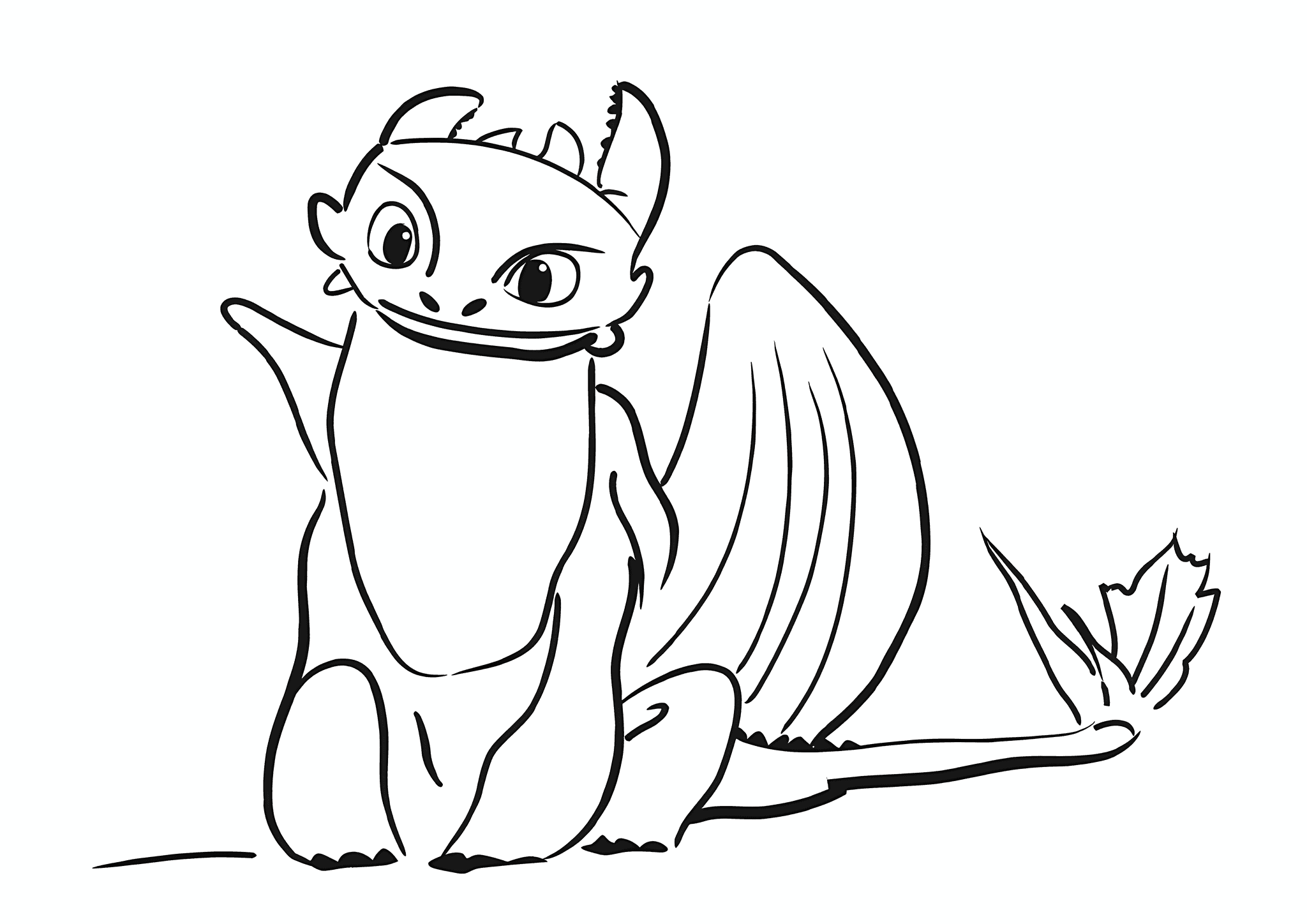 Curious Dragon Toothless