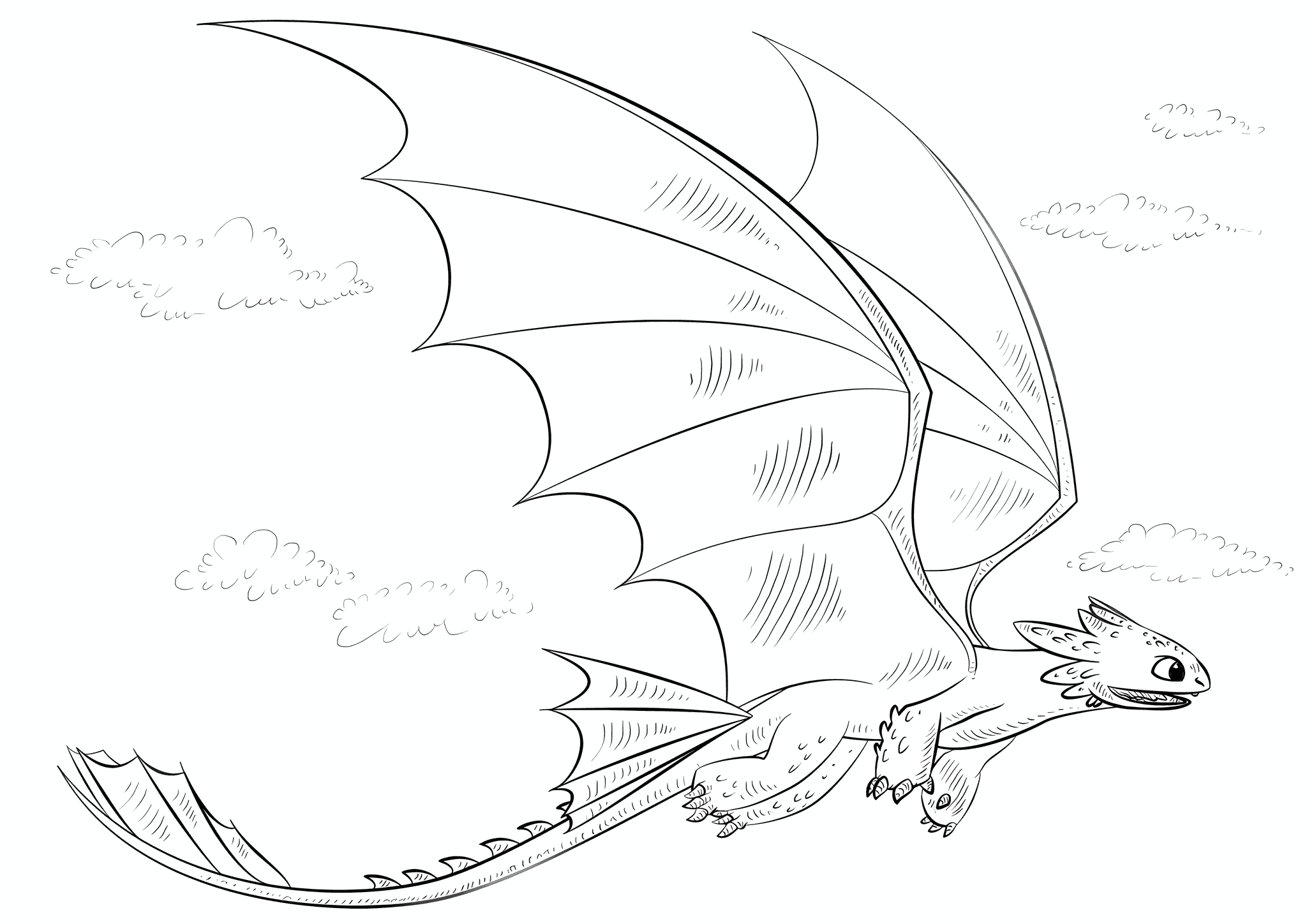 Toothless Soaring in the Sky