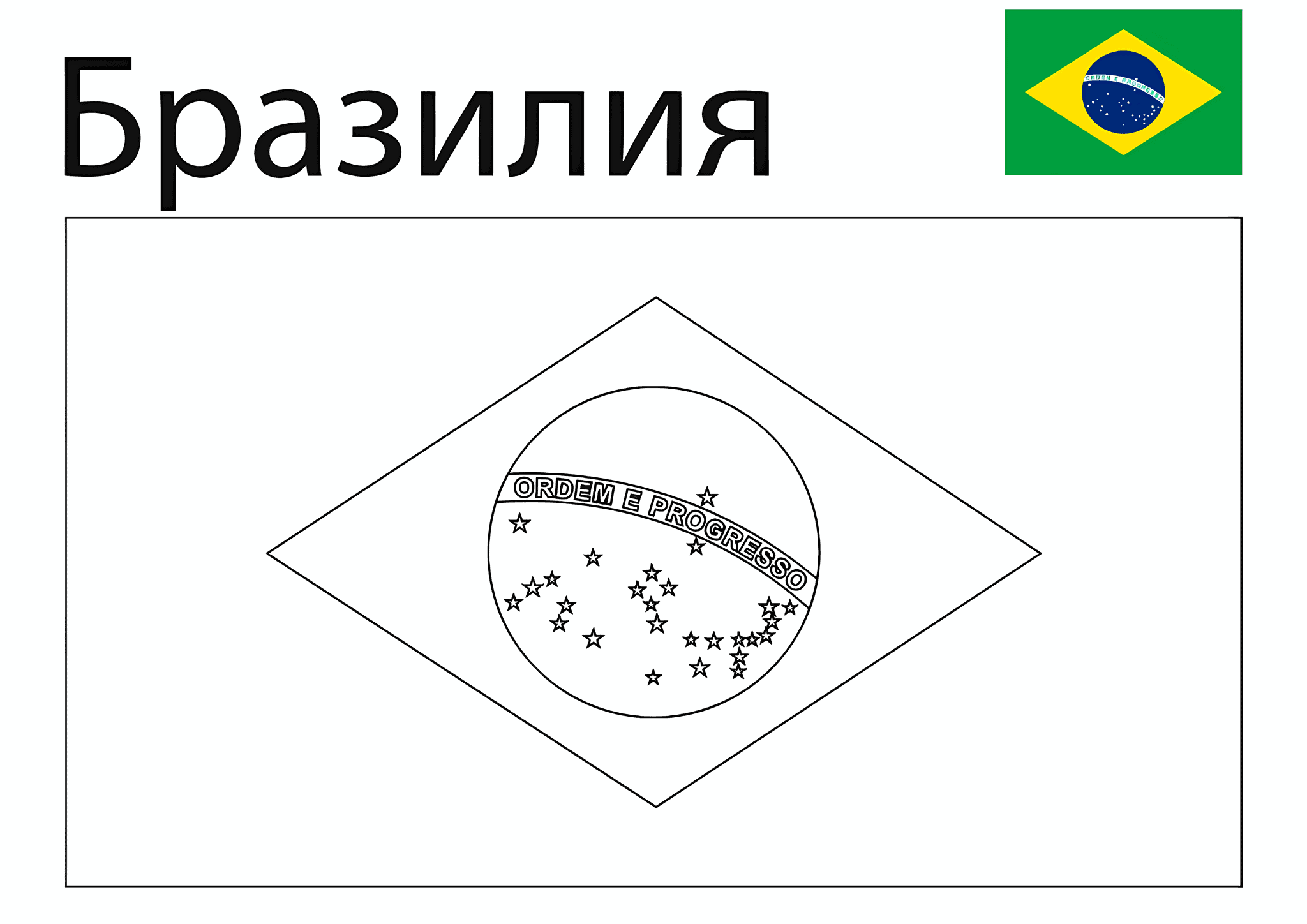 Brazilian Flag