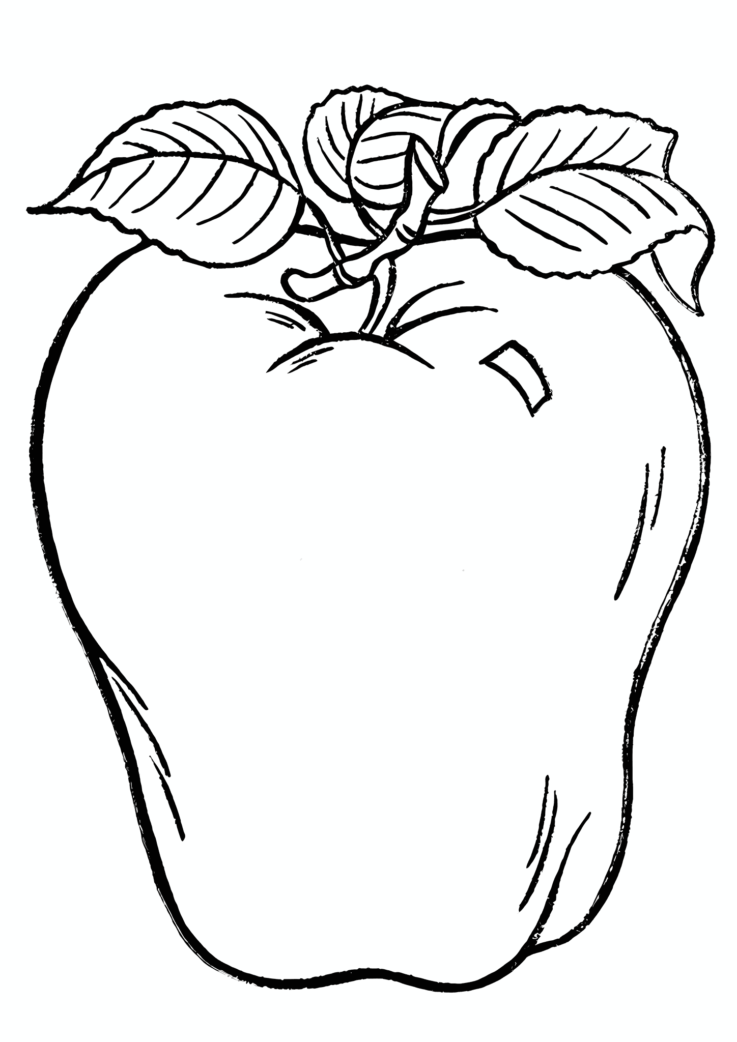 Summer Striped Apple