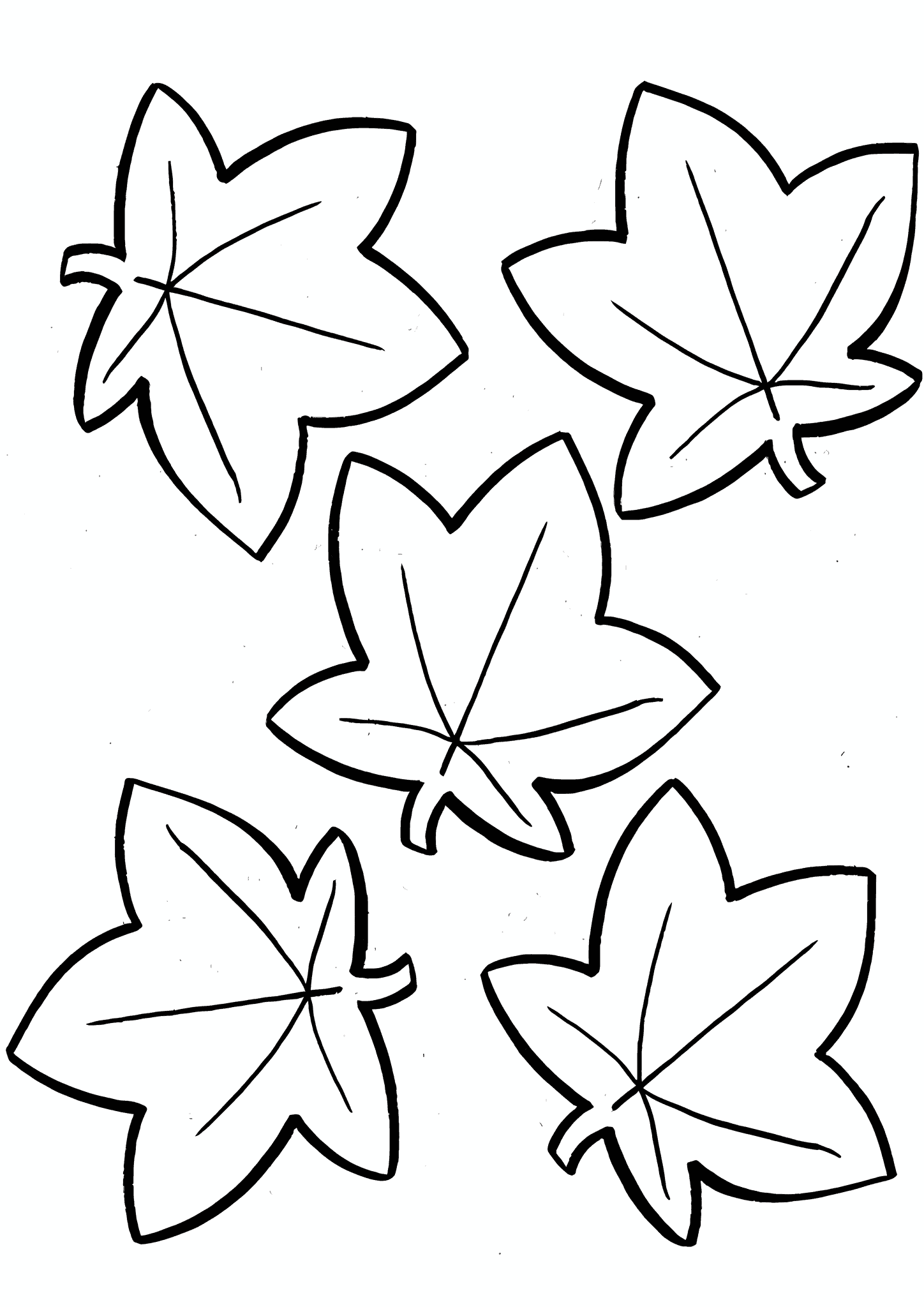 Stylized Maple Leaves
