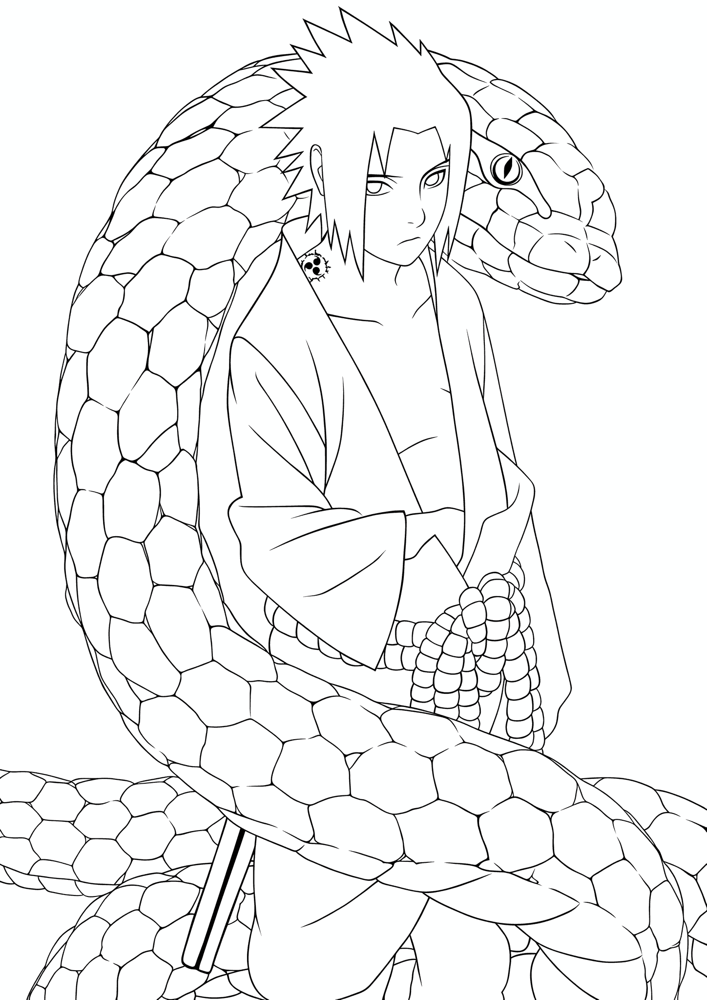 Sasuke Uchiha and Snake (Naruto)