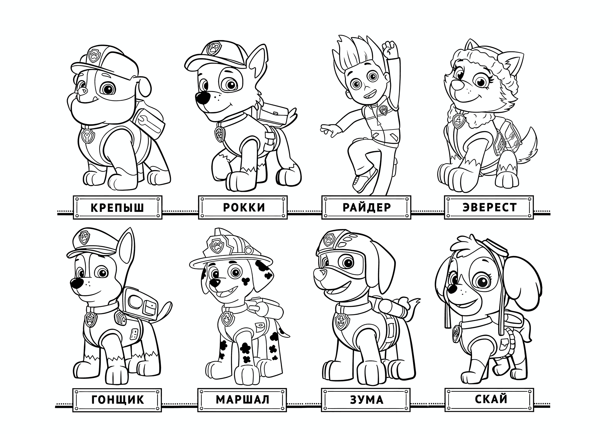 All Paw Patrol Characters