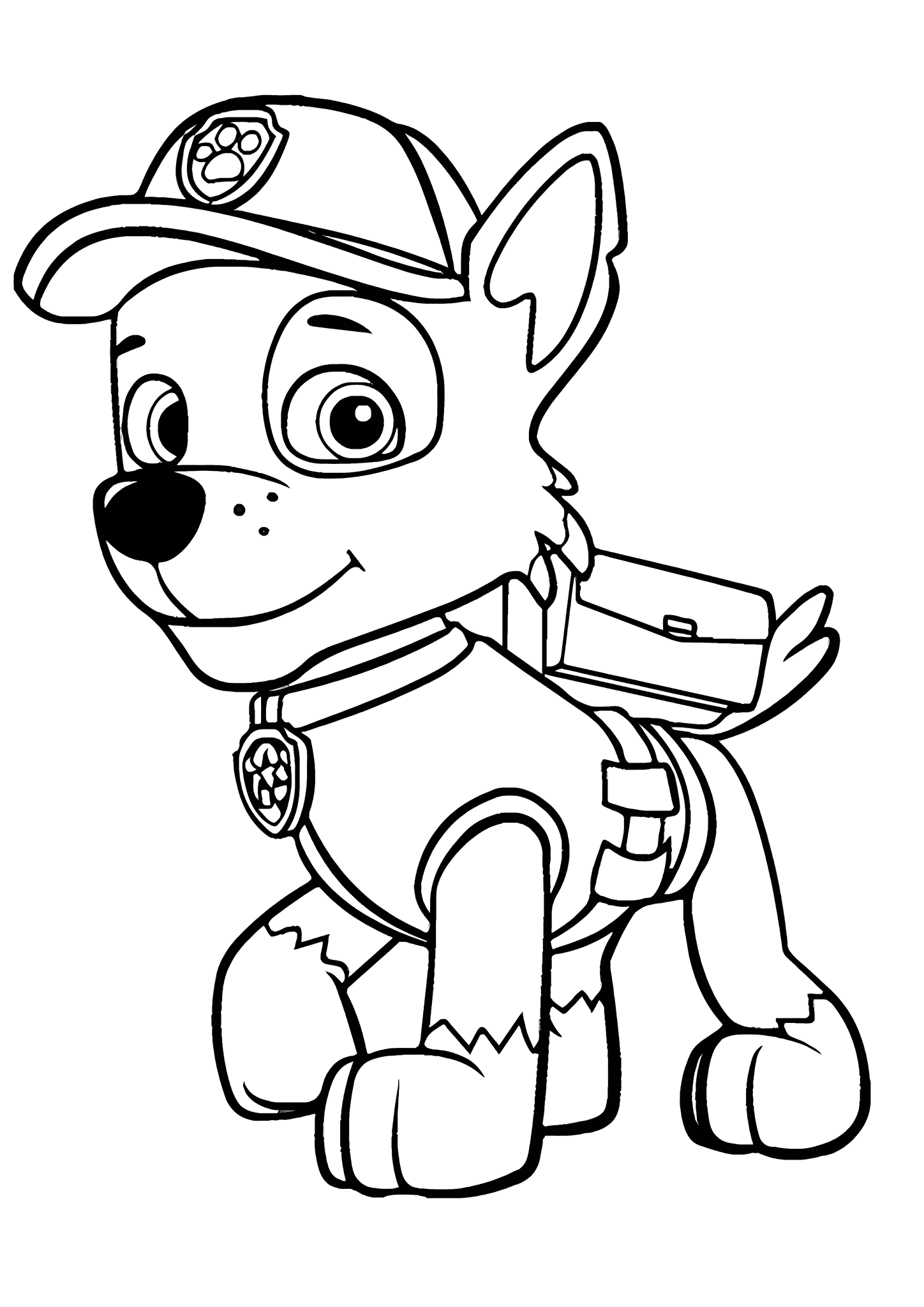 Paw Patrol: Rocky