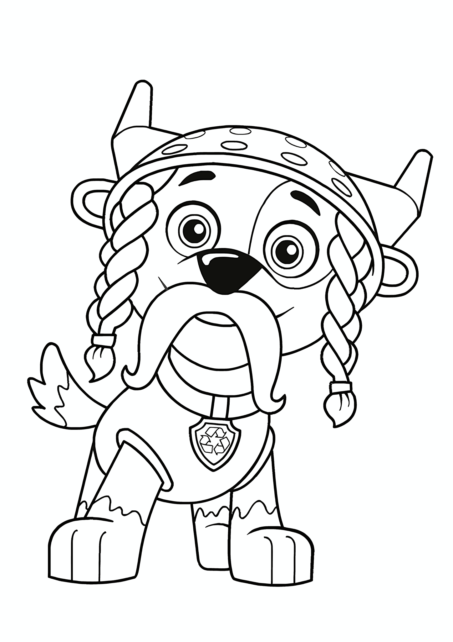Paw Patrol: Rocky in a Viking Outfit