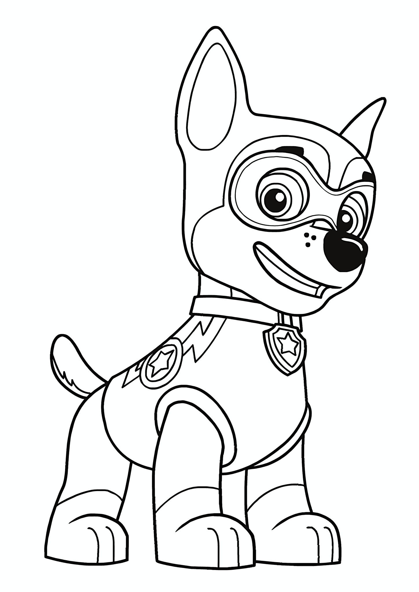 Paw Patrol: Racer – Superhero Costume