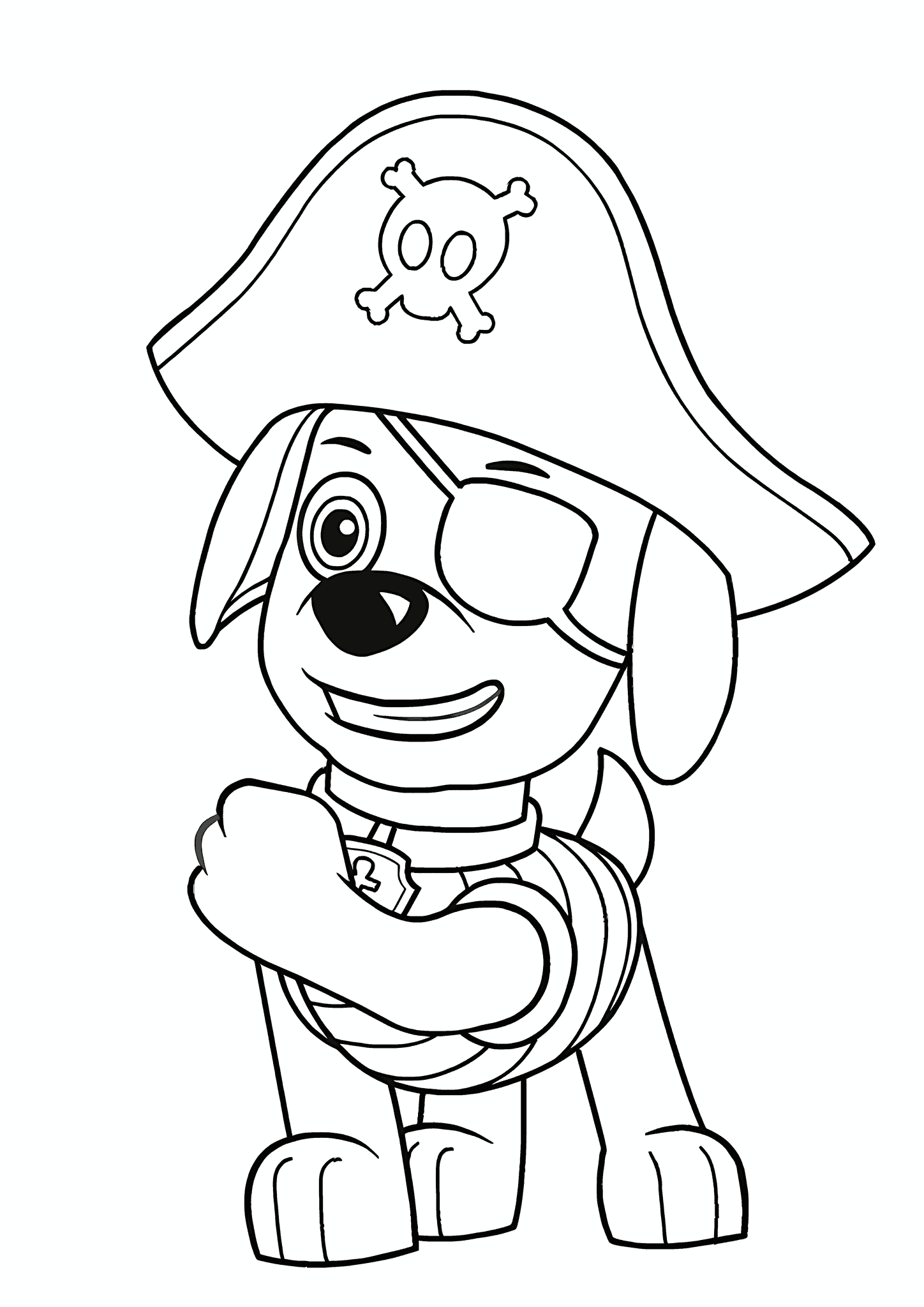Paw Patrol: Zuma the One-eyed Pirate