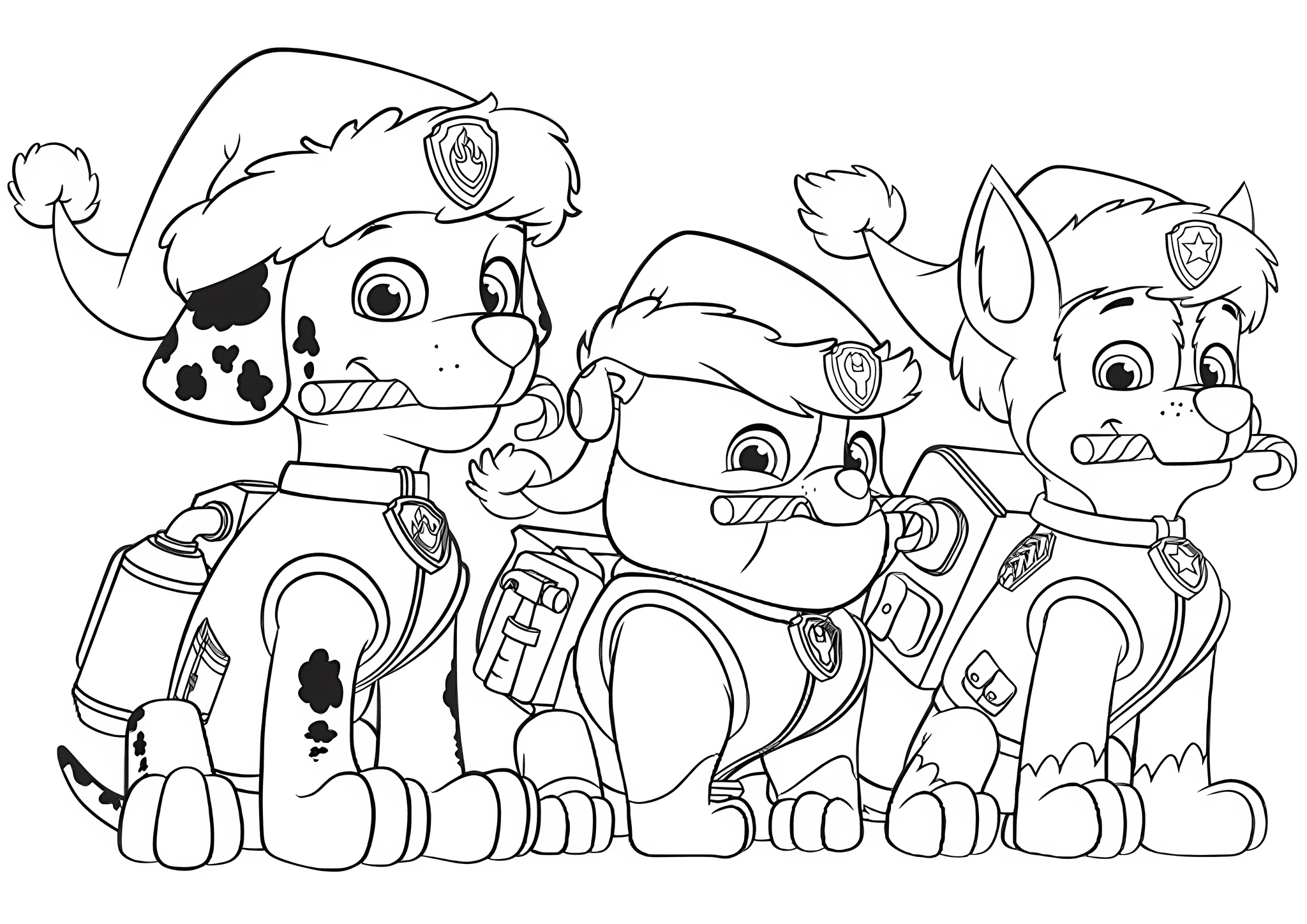Paw Patrol: Christmas Puppies