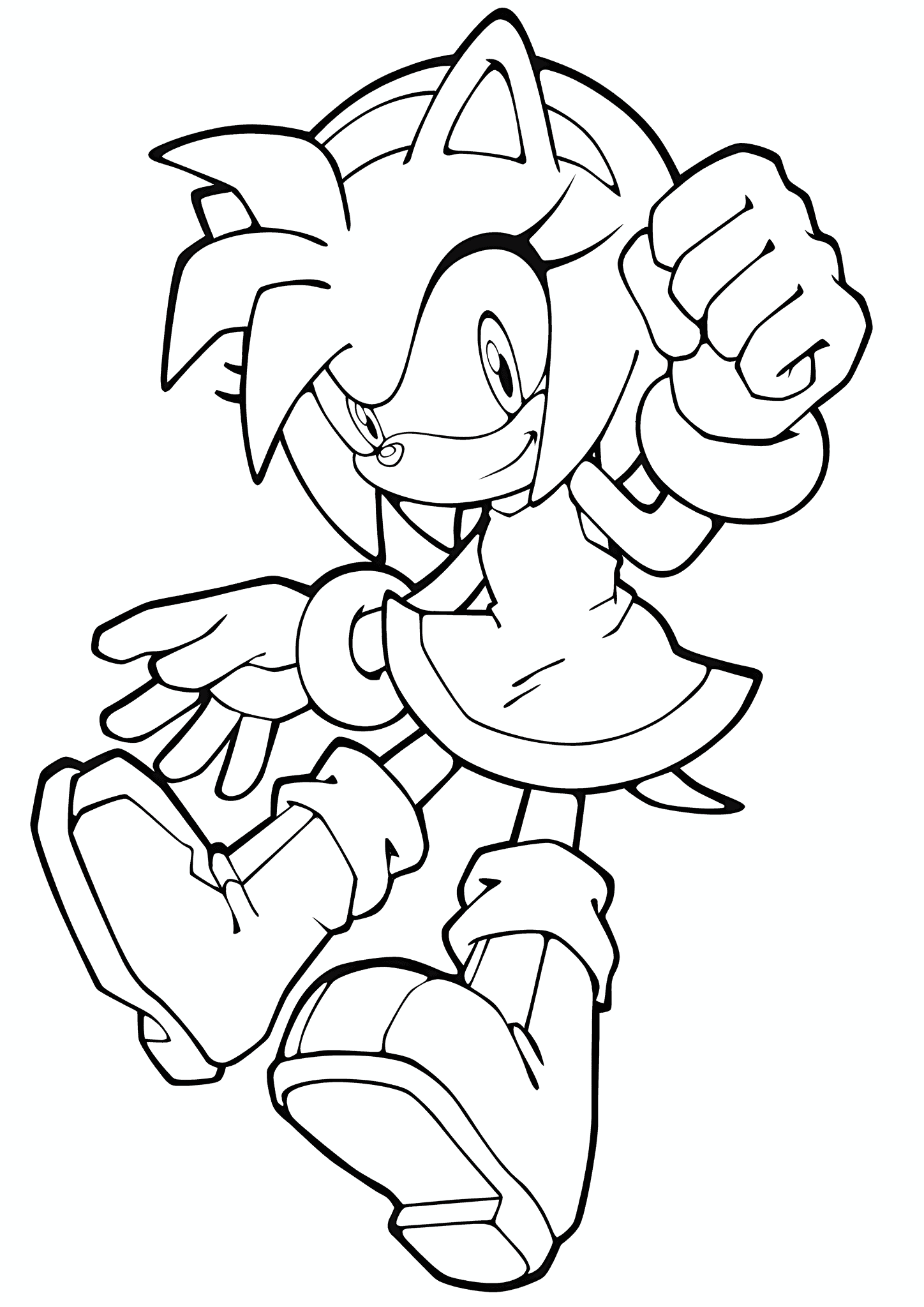 Sonic the Hedgehog: Merry Amy Rose