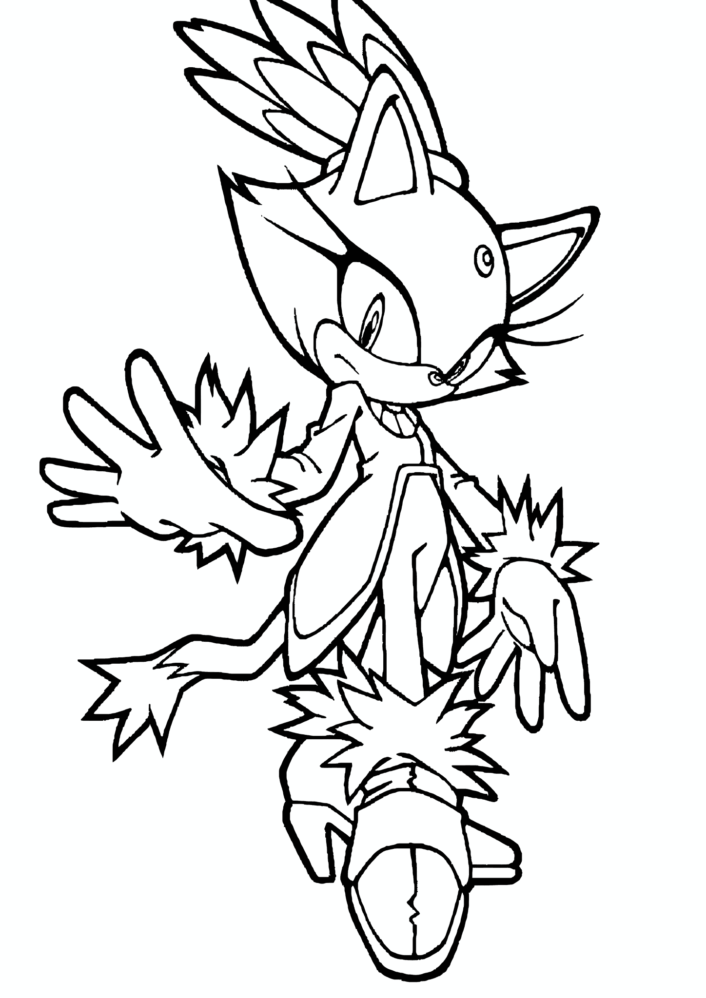 Sonic the Hedgehog: Blaze the Cat