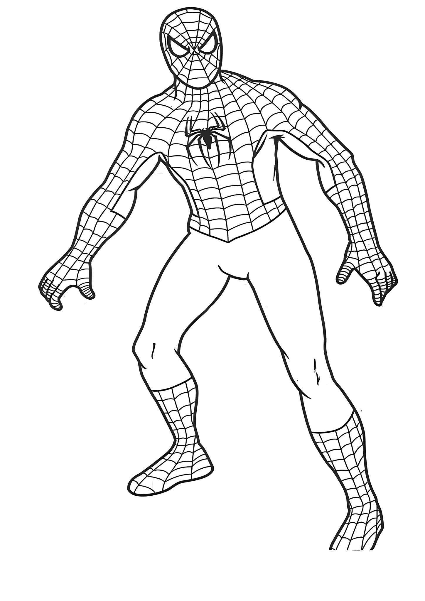 Spiderman Costume