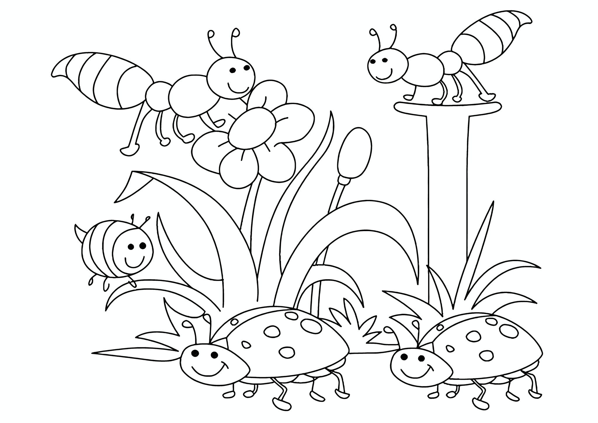 Spring: Bugs on Flowers