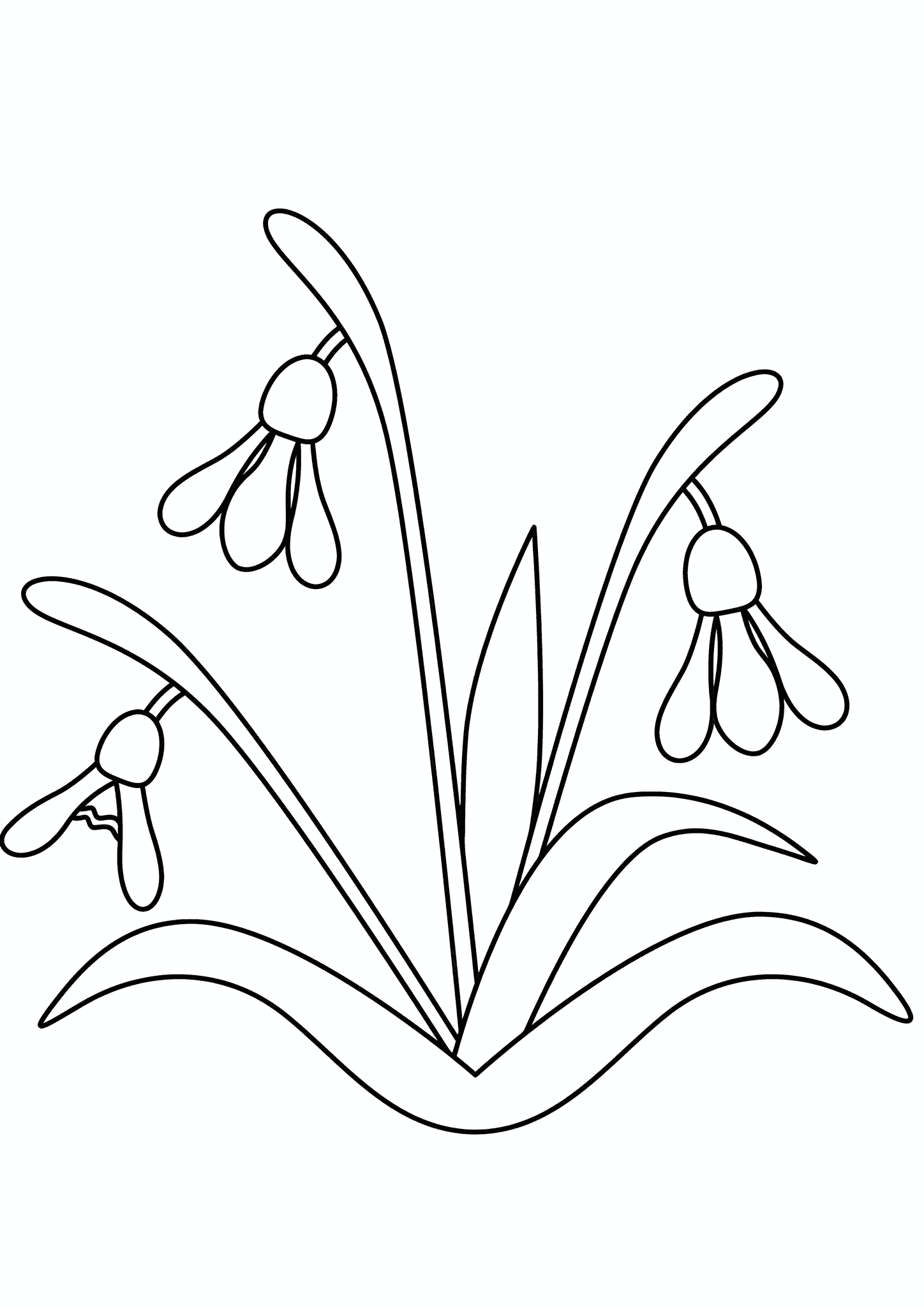 Spring: Flowers Are Blooming