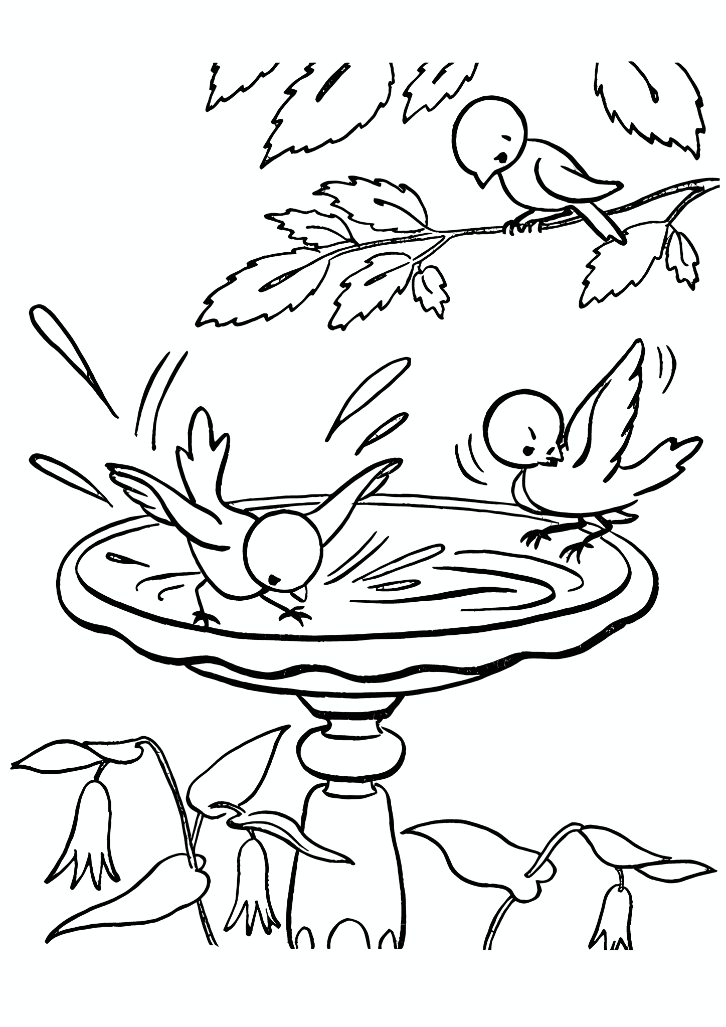 Spring: Birds Drink Water