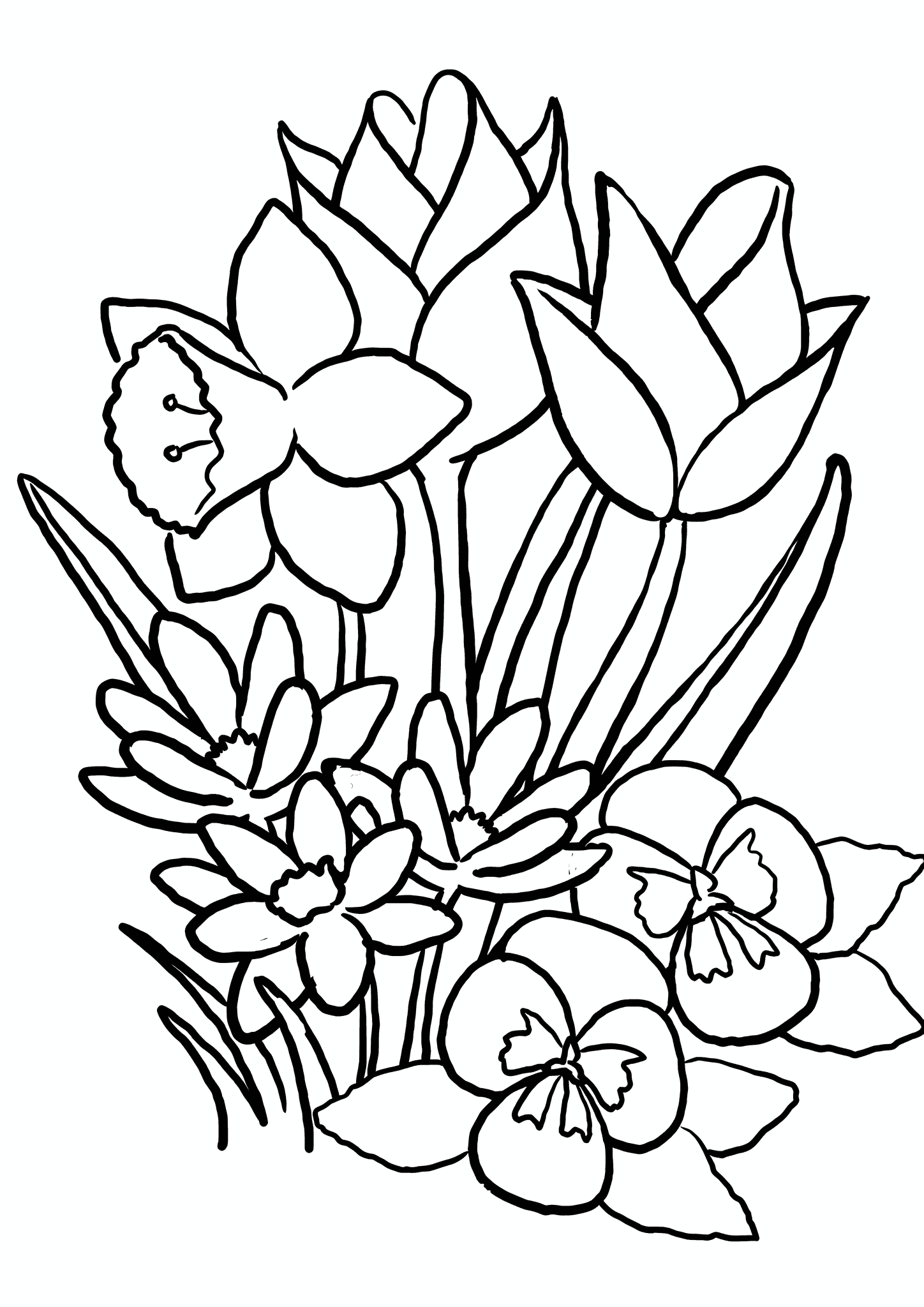 Spring: Beautiful Flowers