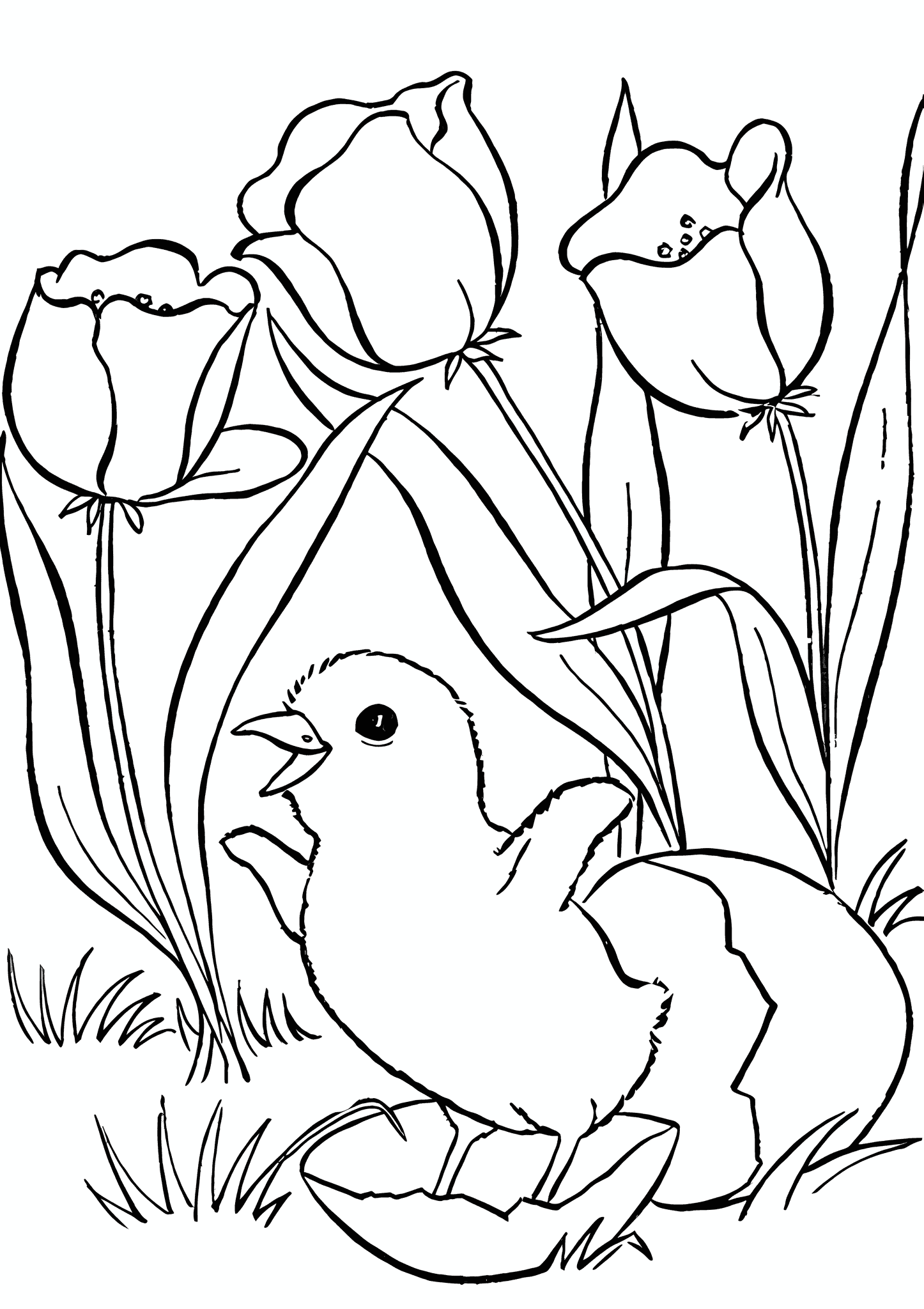 Spring: Chick Has Hatched