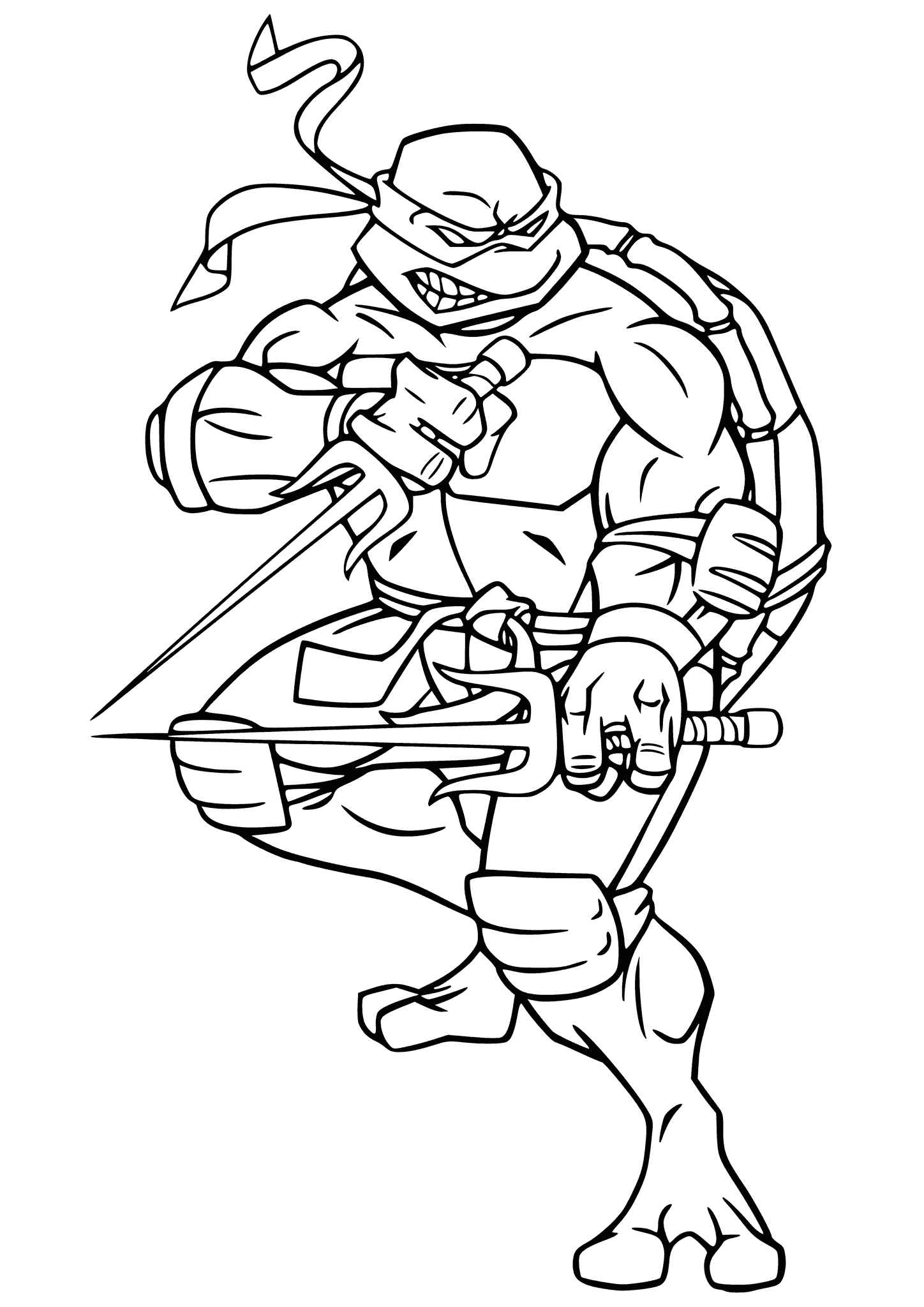 Ninja Turtles: Raphael in a Fighting Pose