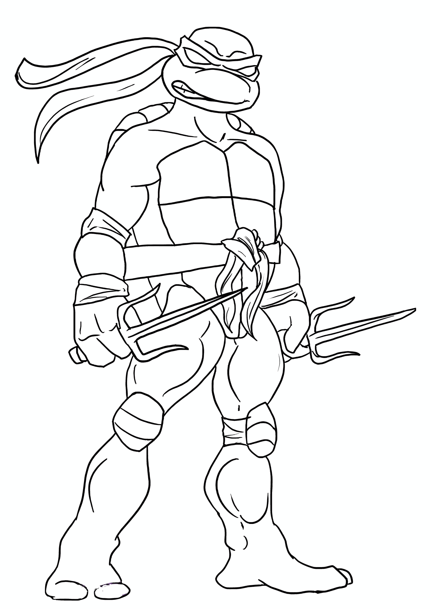 Ninja Turtles: Rafe From the Cartoon