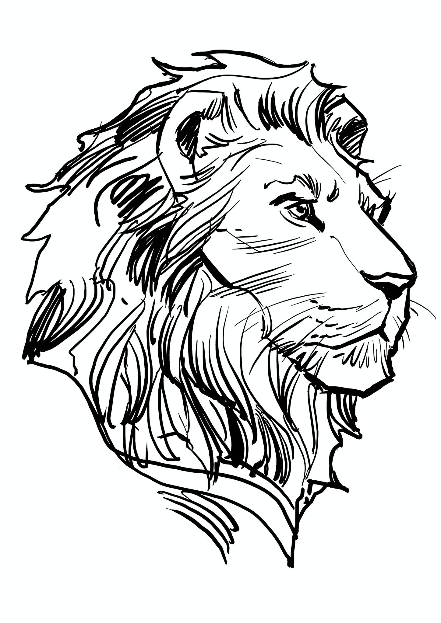King Mufasa (the Lion King)