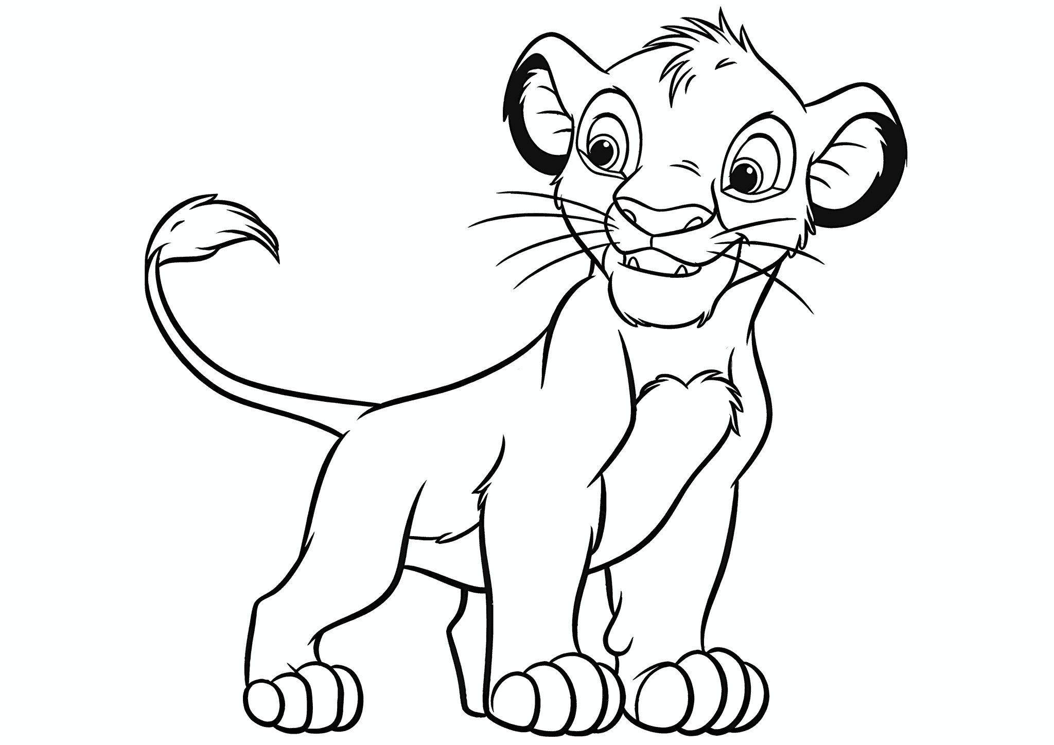 Lion King: a Calm Walk