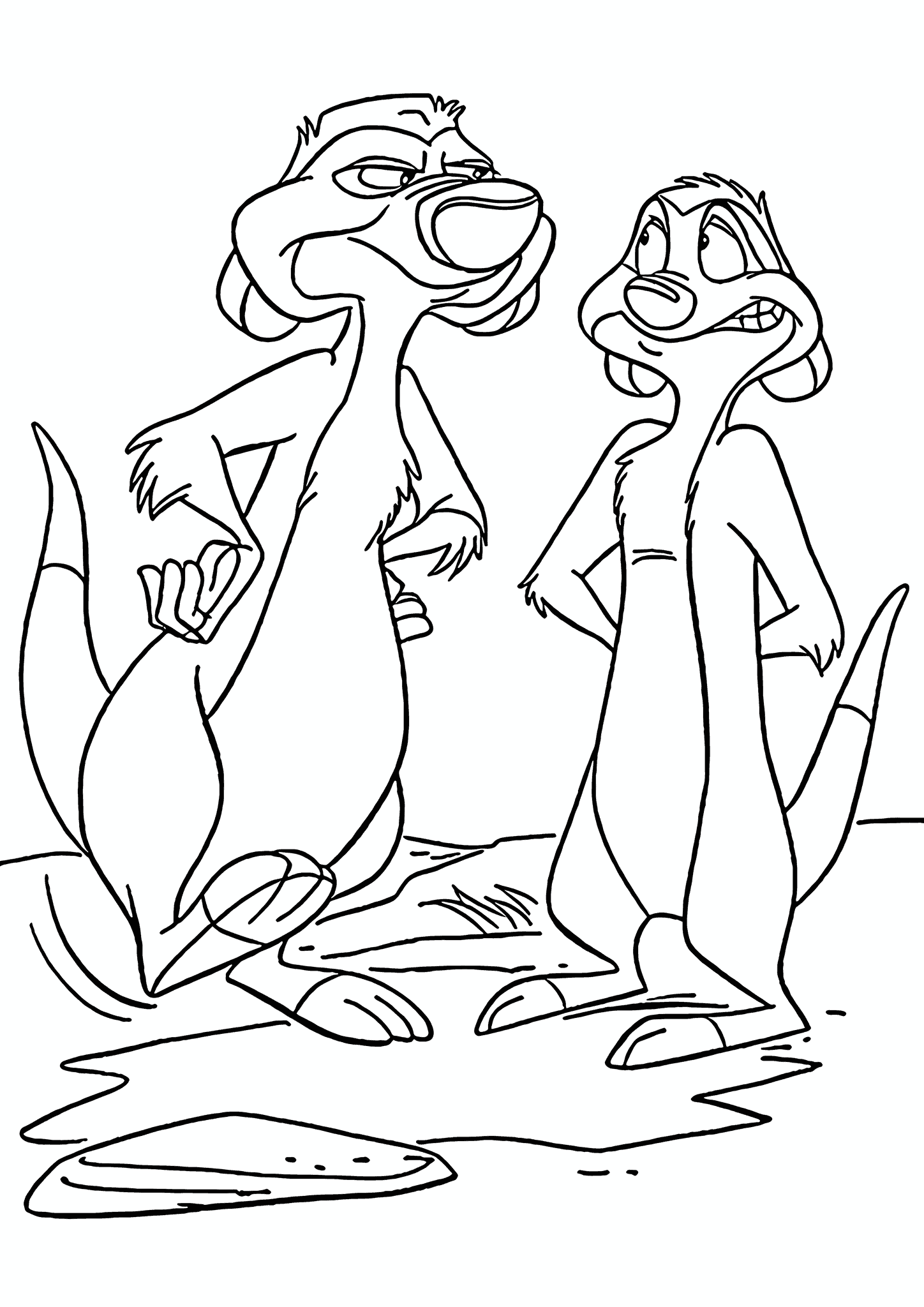 Lion King: a Meerkat Dispute