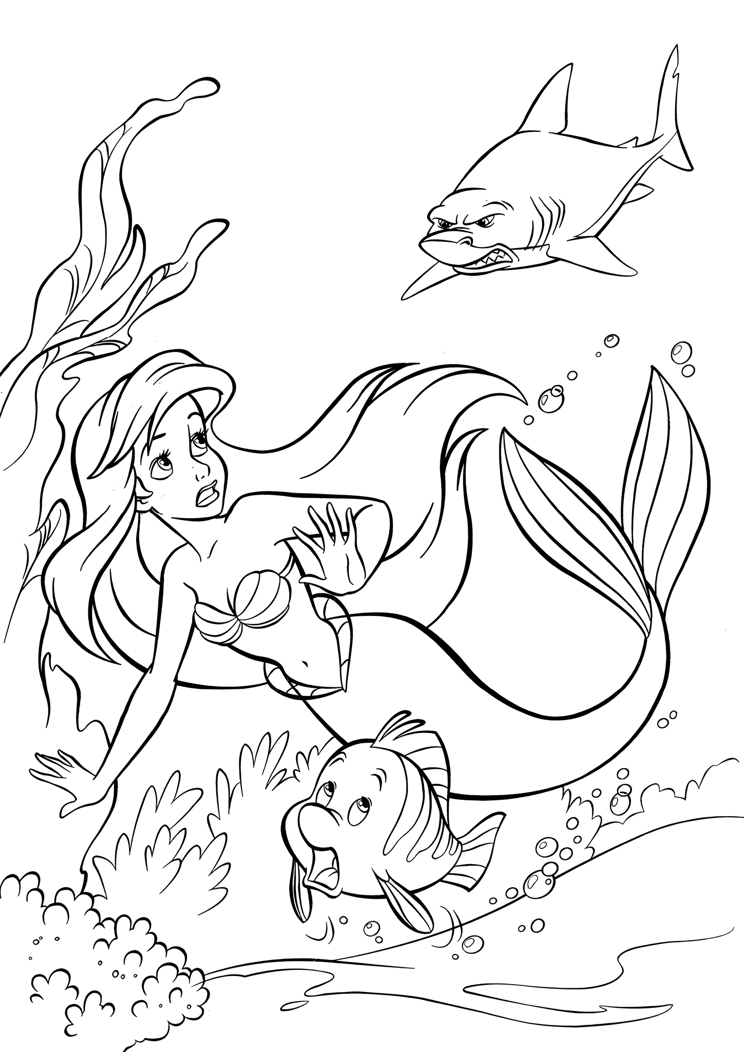 Little Mermaid: a Shark in Pursuit of a Mermaid