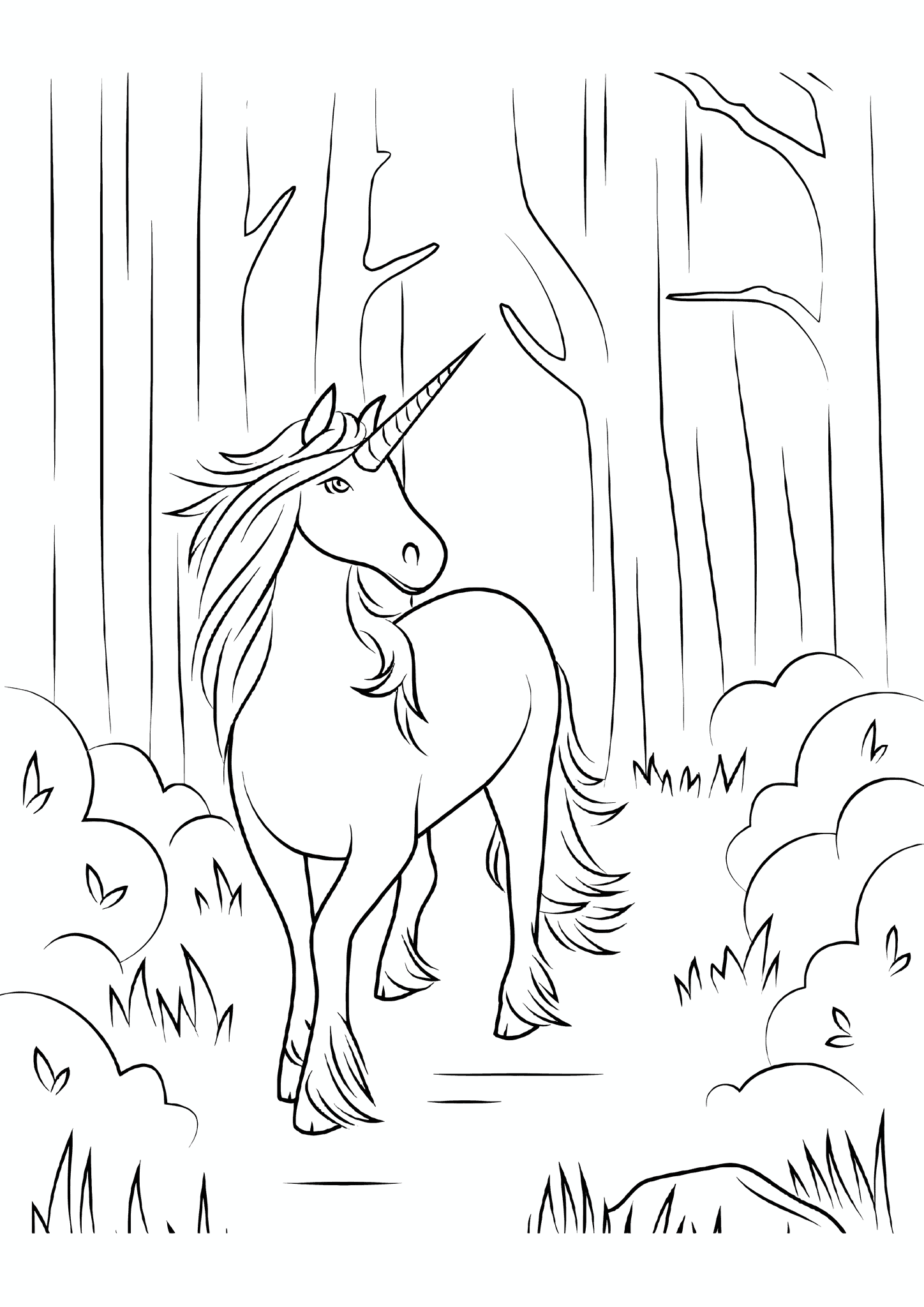 Unicorn in Enchanted Forest