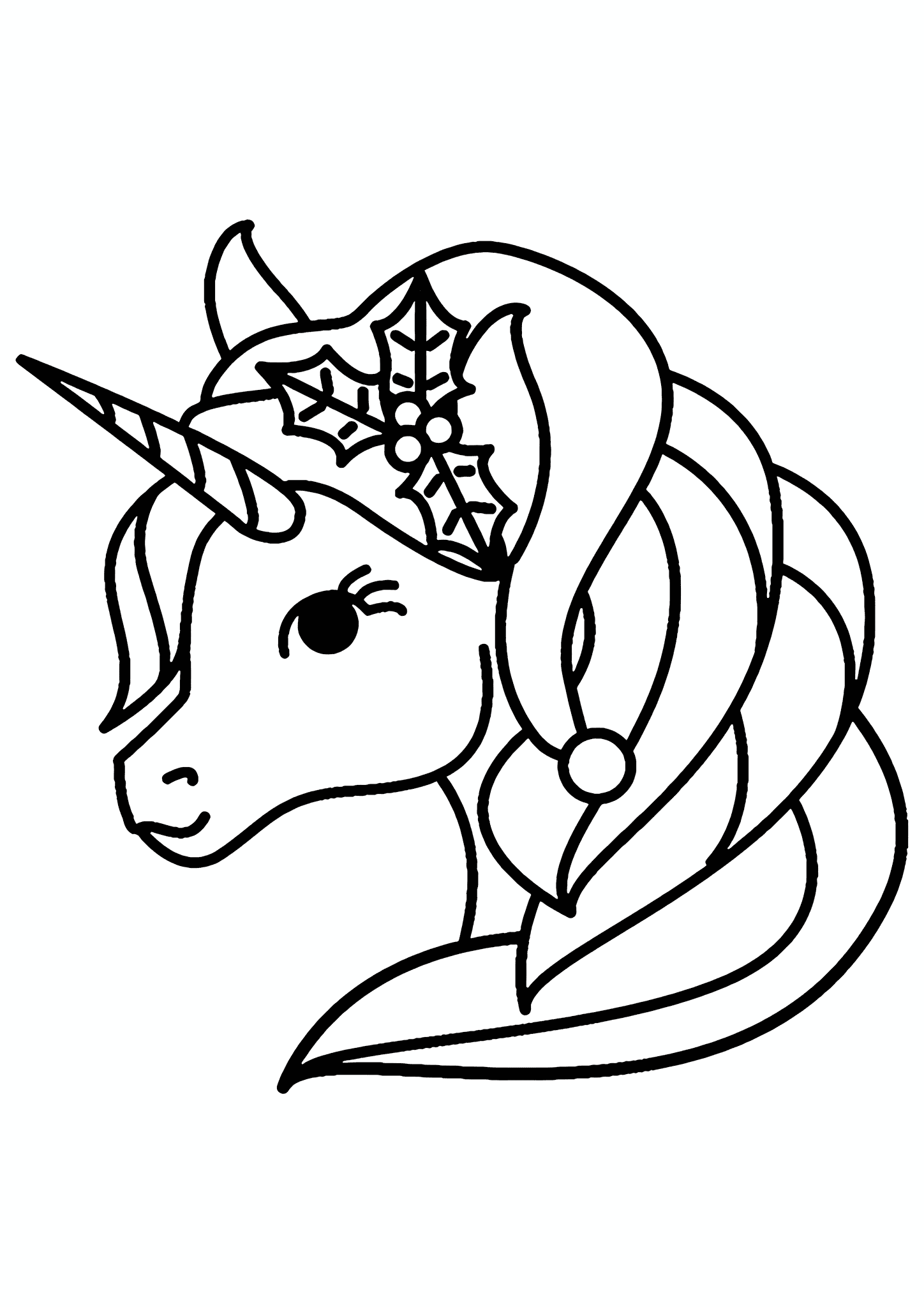 Unicorn’s Fancy Hairstyle