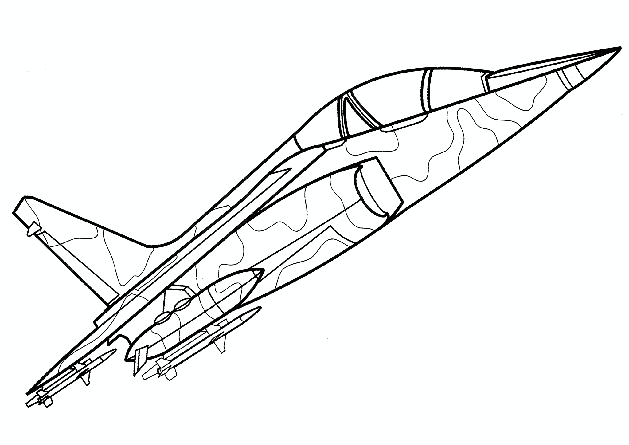 Airplane Alpha Jet Dassault Dornier (Germany)