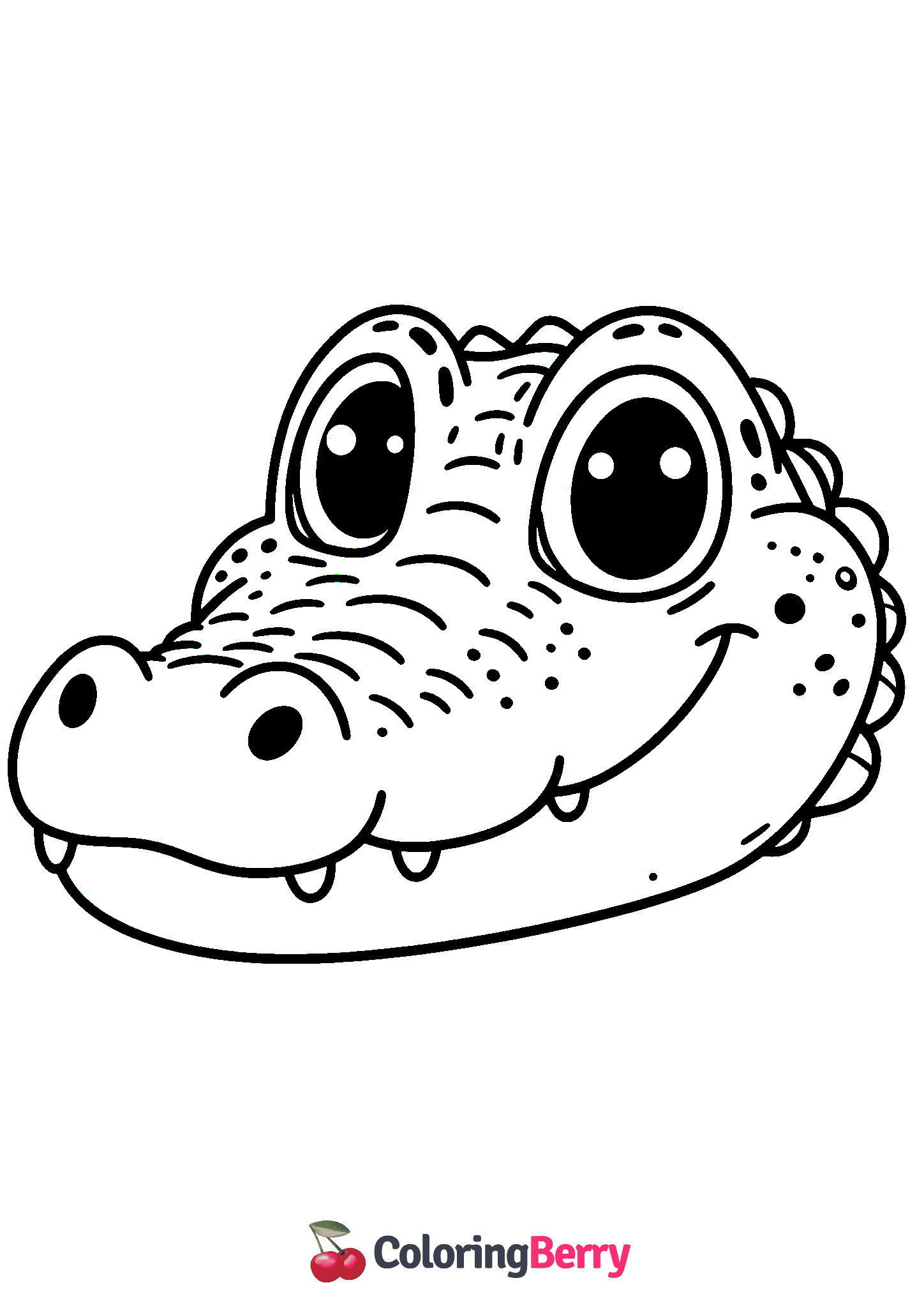 Alligator Face