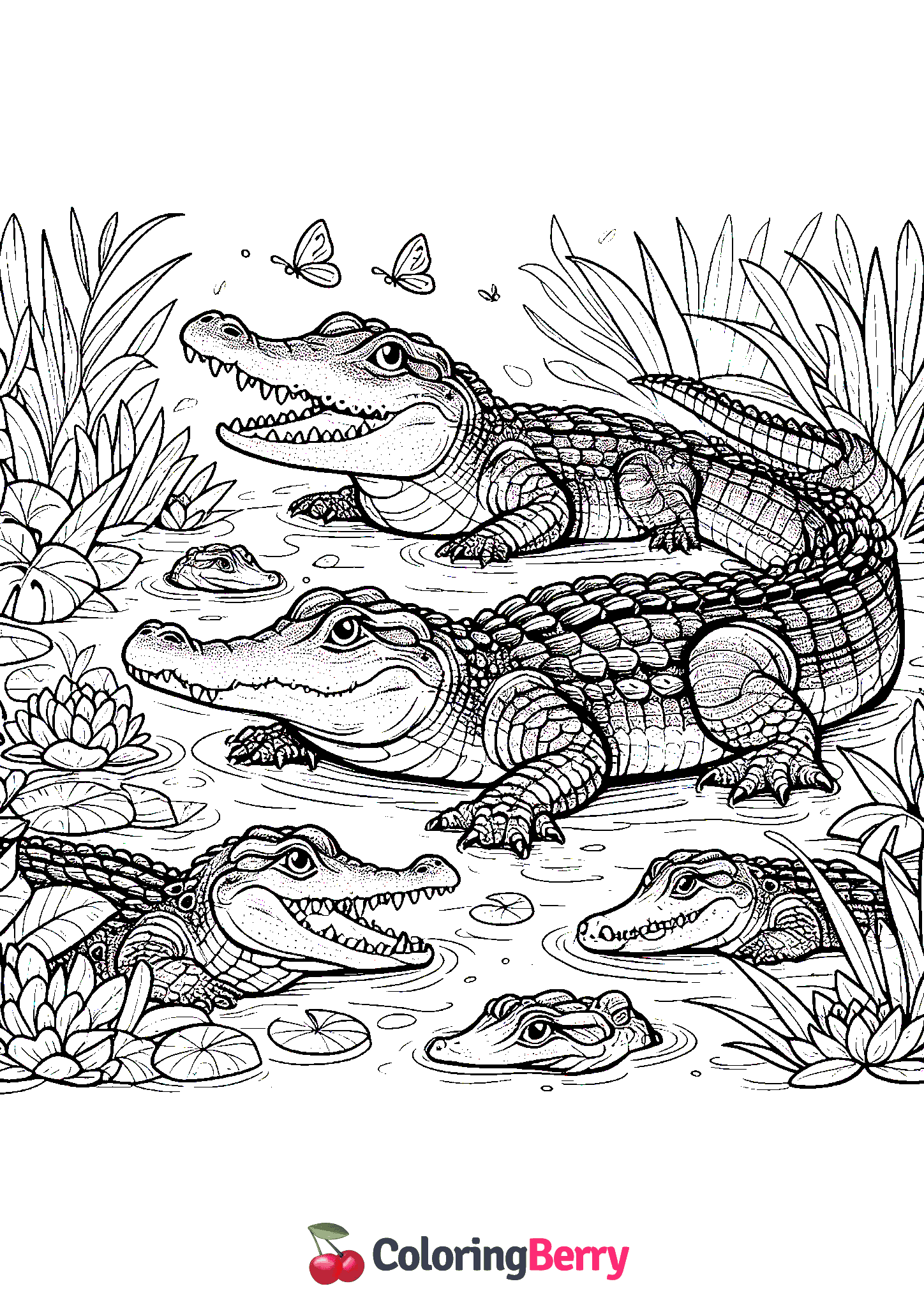 Crocodiles